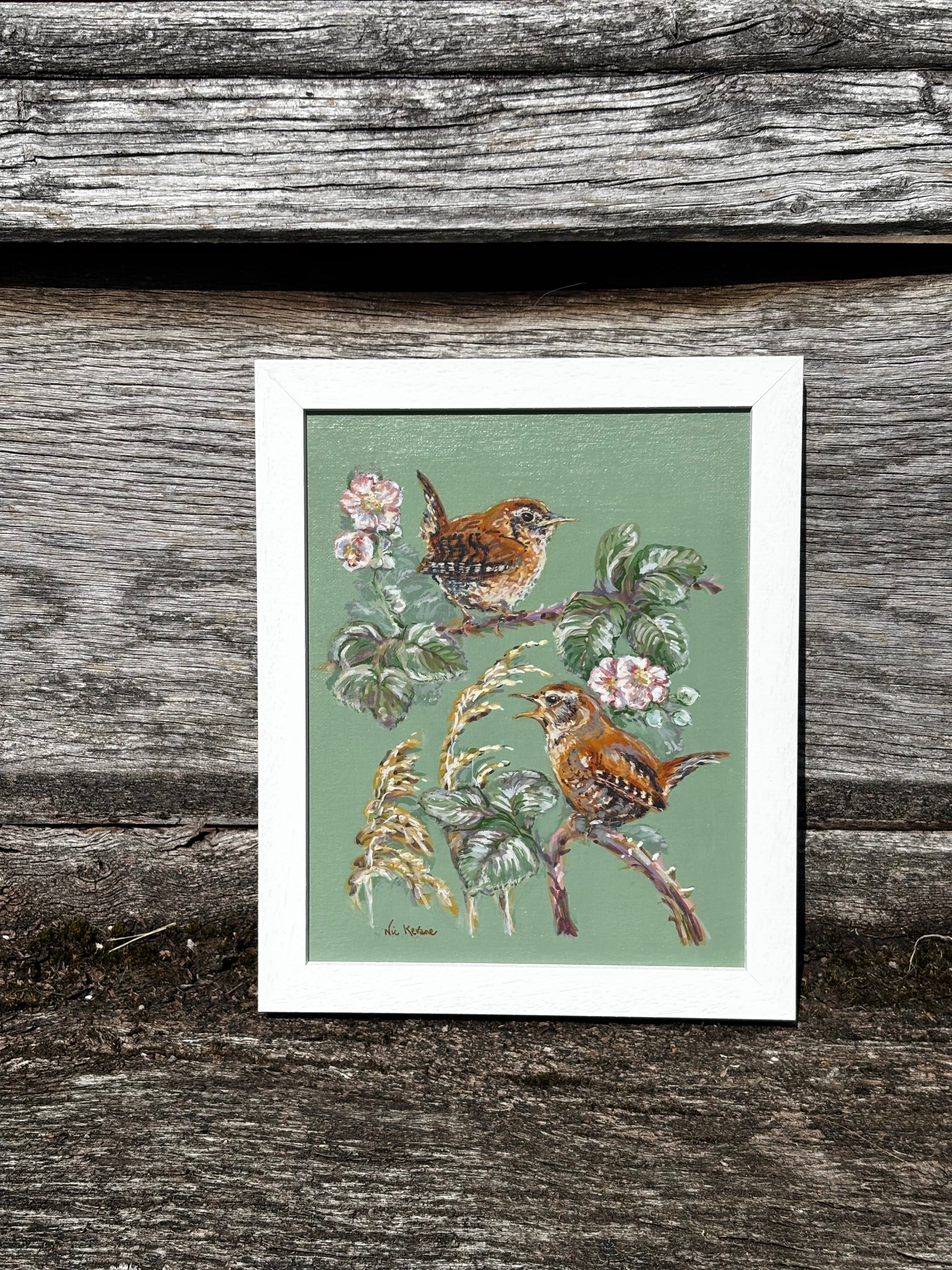 Little wrens