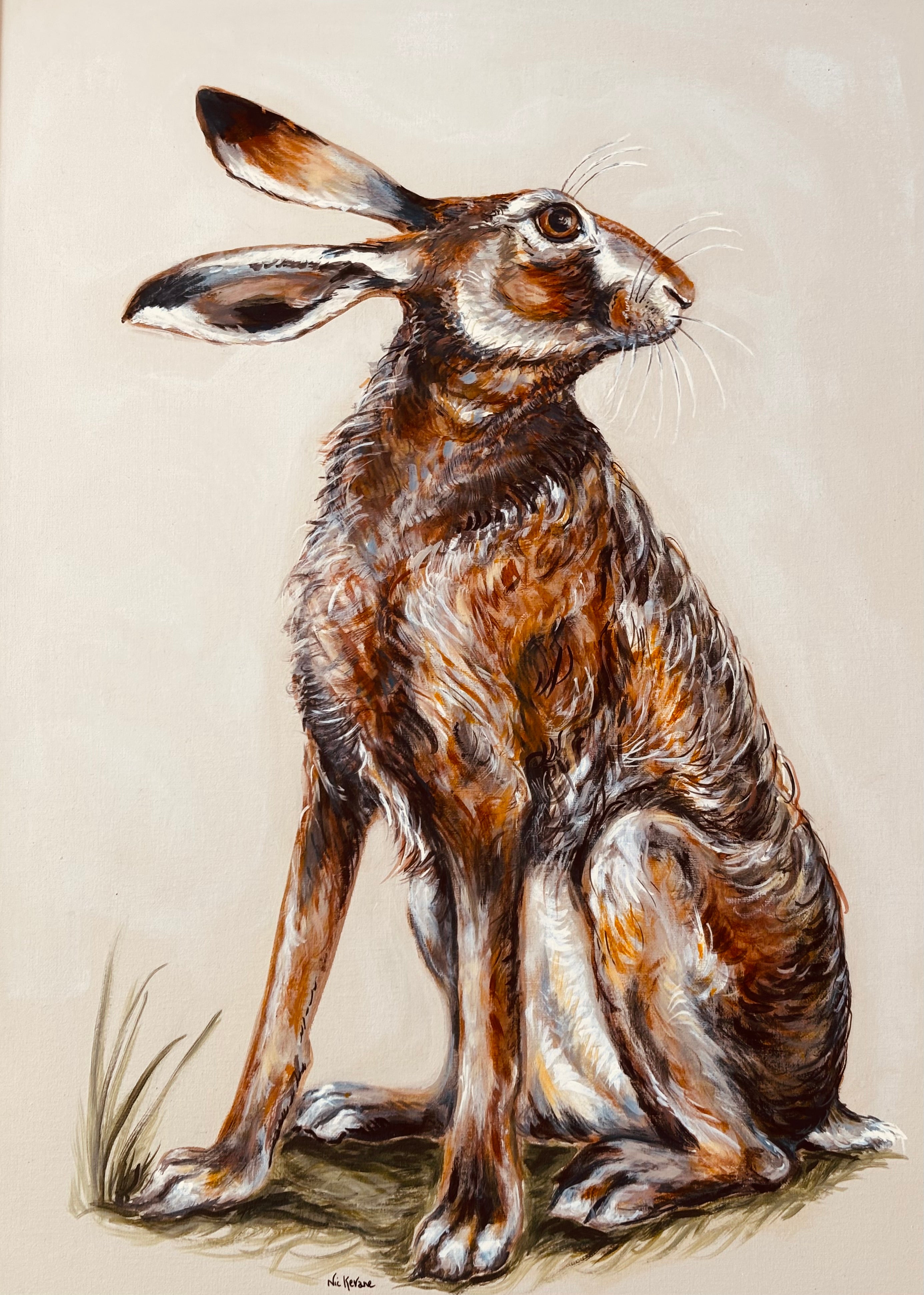 Wistful Hare