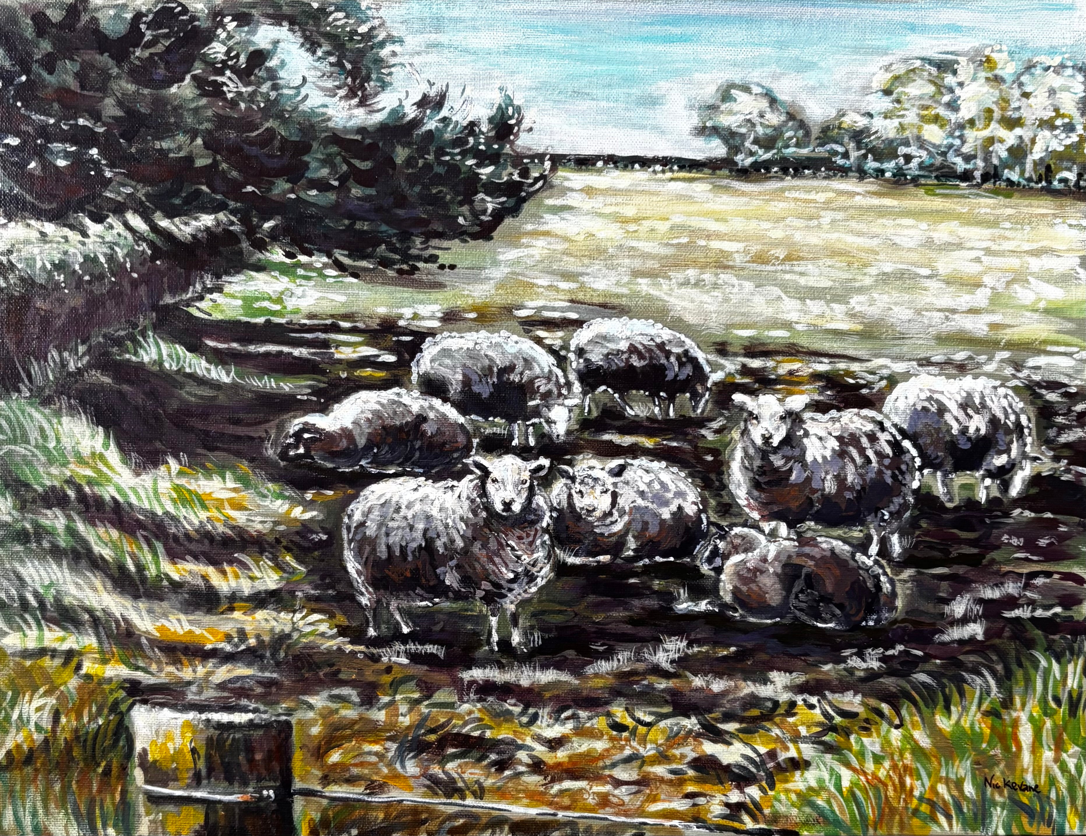 Sheep in the shade