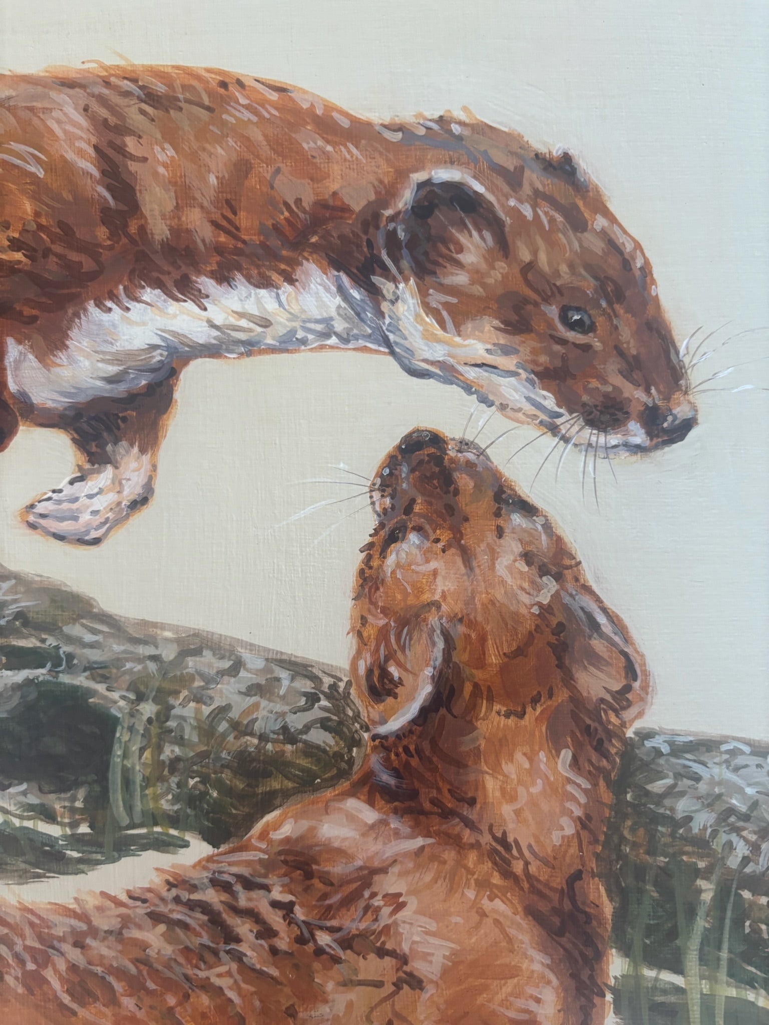 Rough and tumble