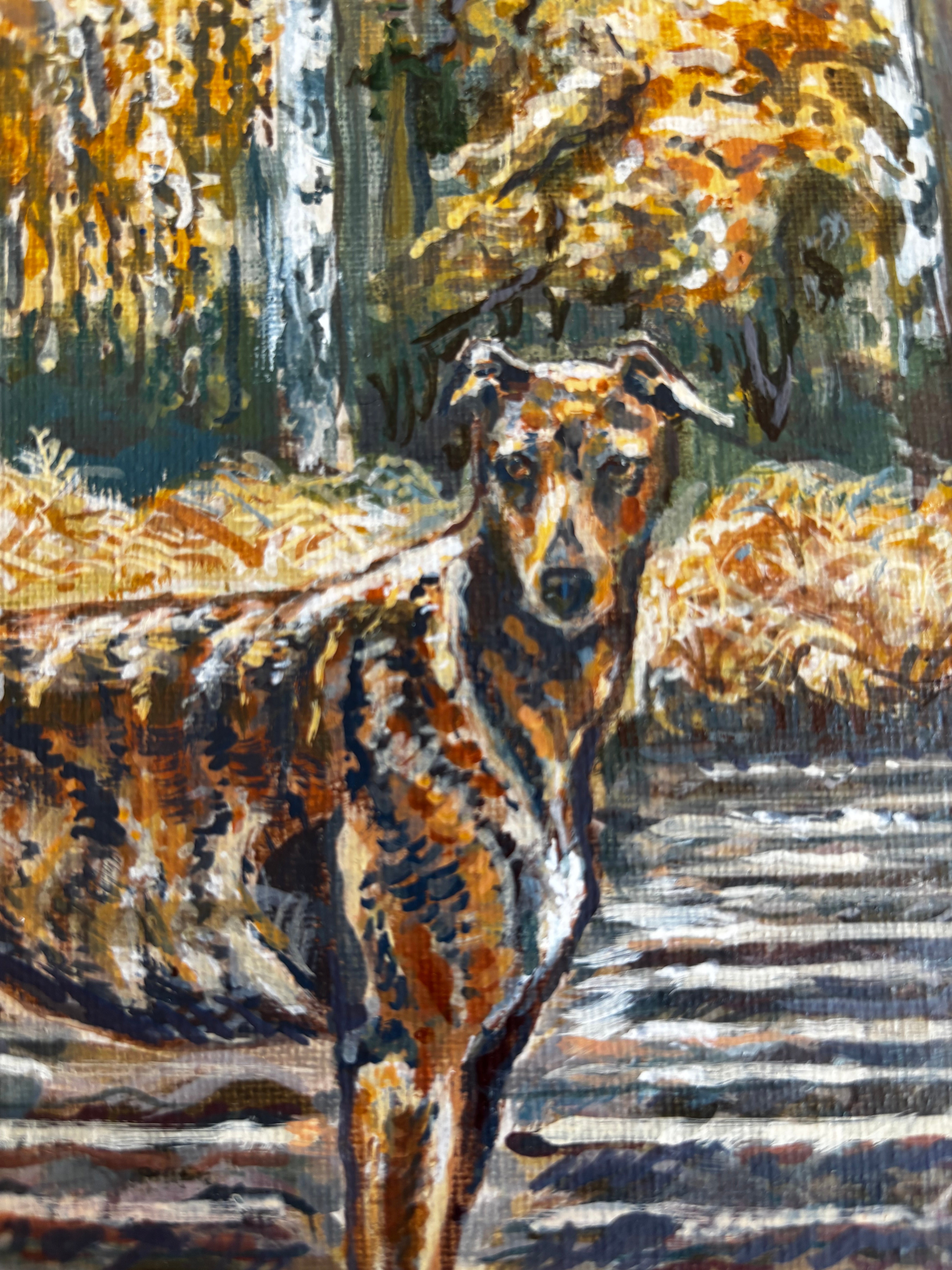 Autumn Greyhound