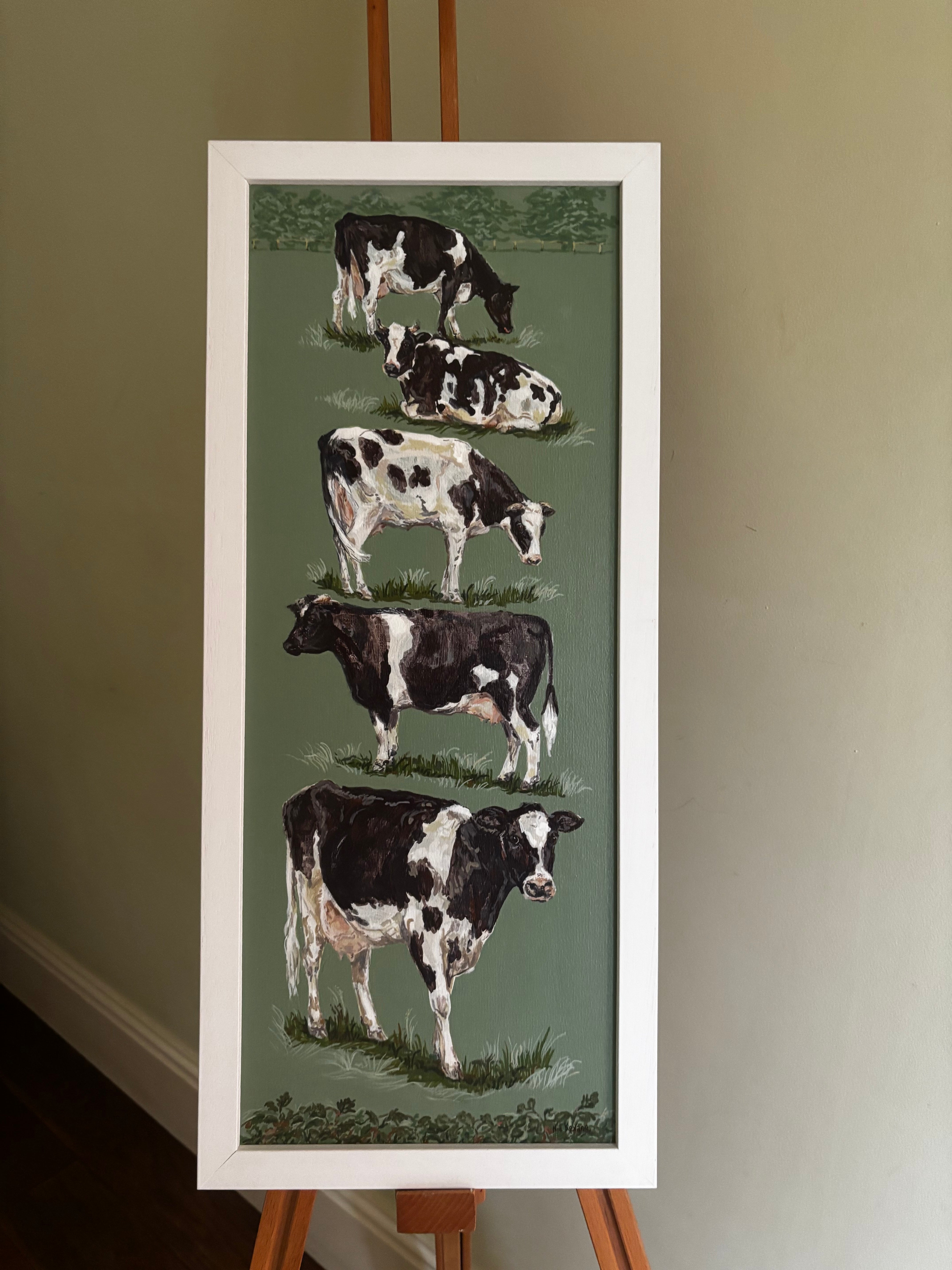 Friesian Cows