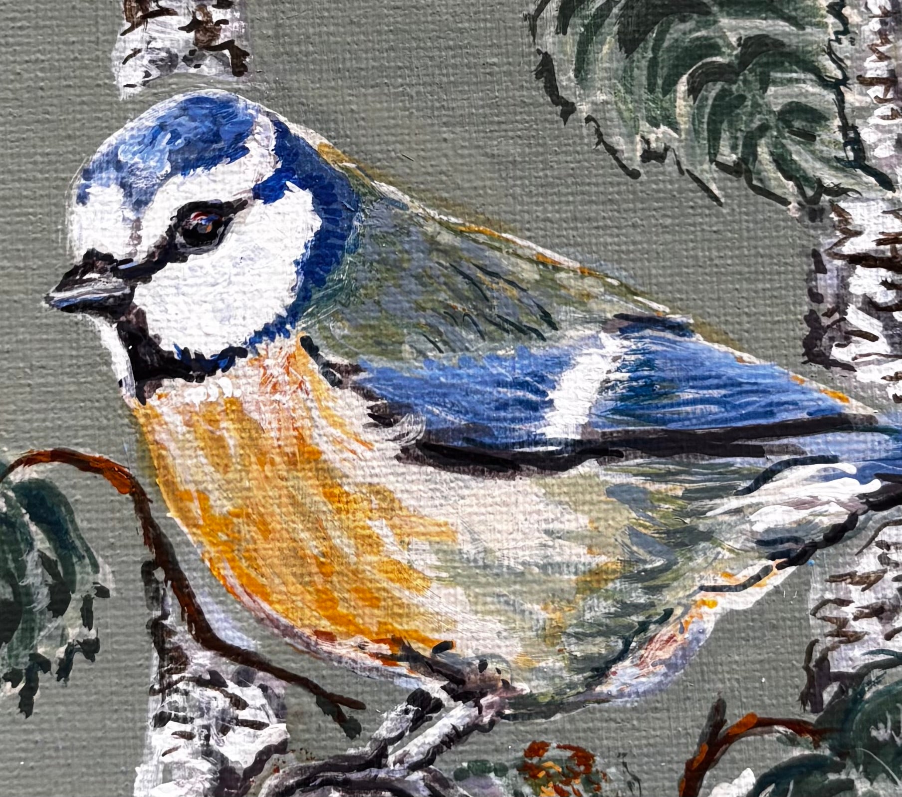 Blue Tits in the silver birch