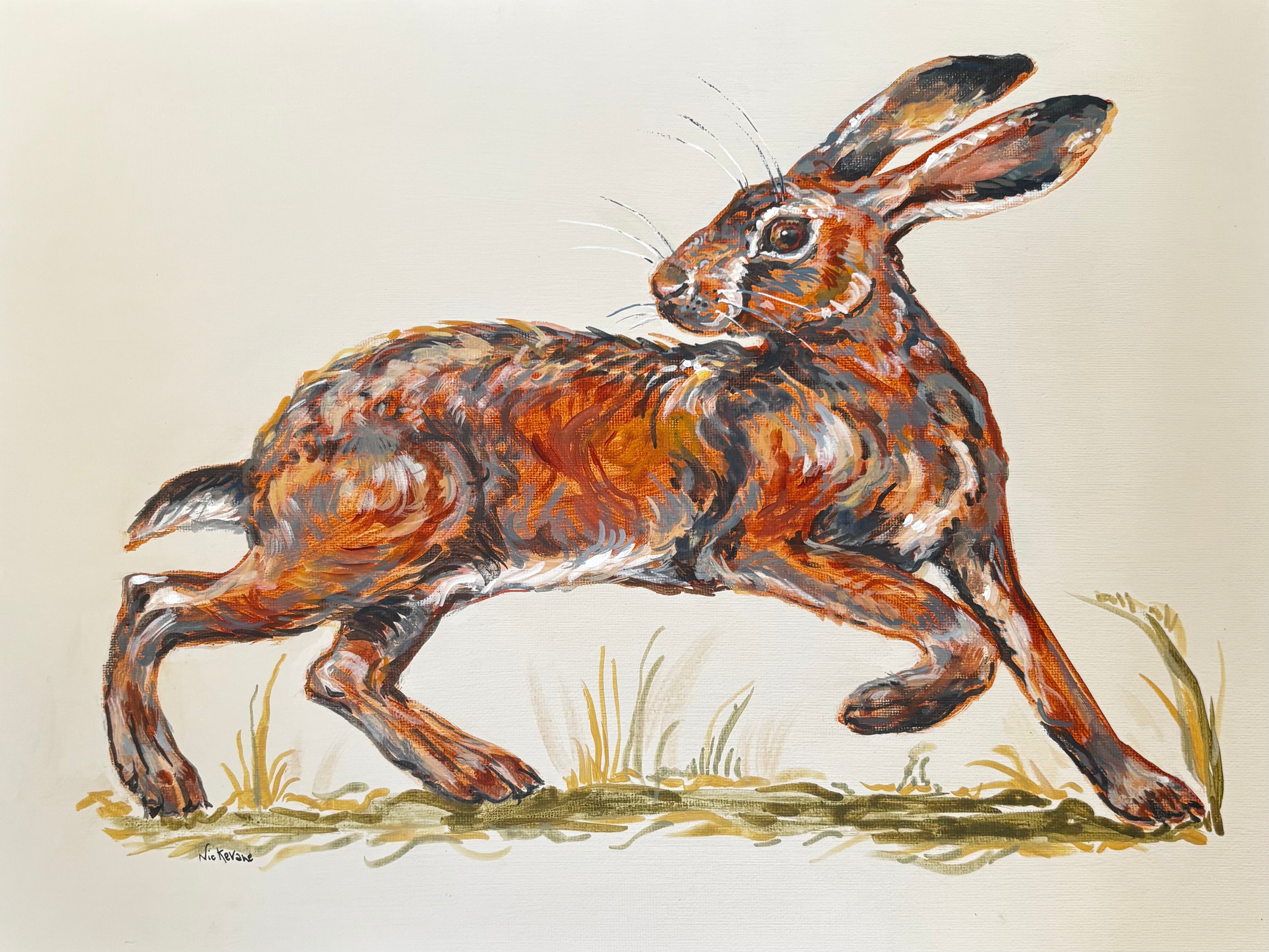 Wavering hare