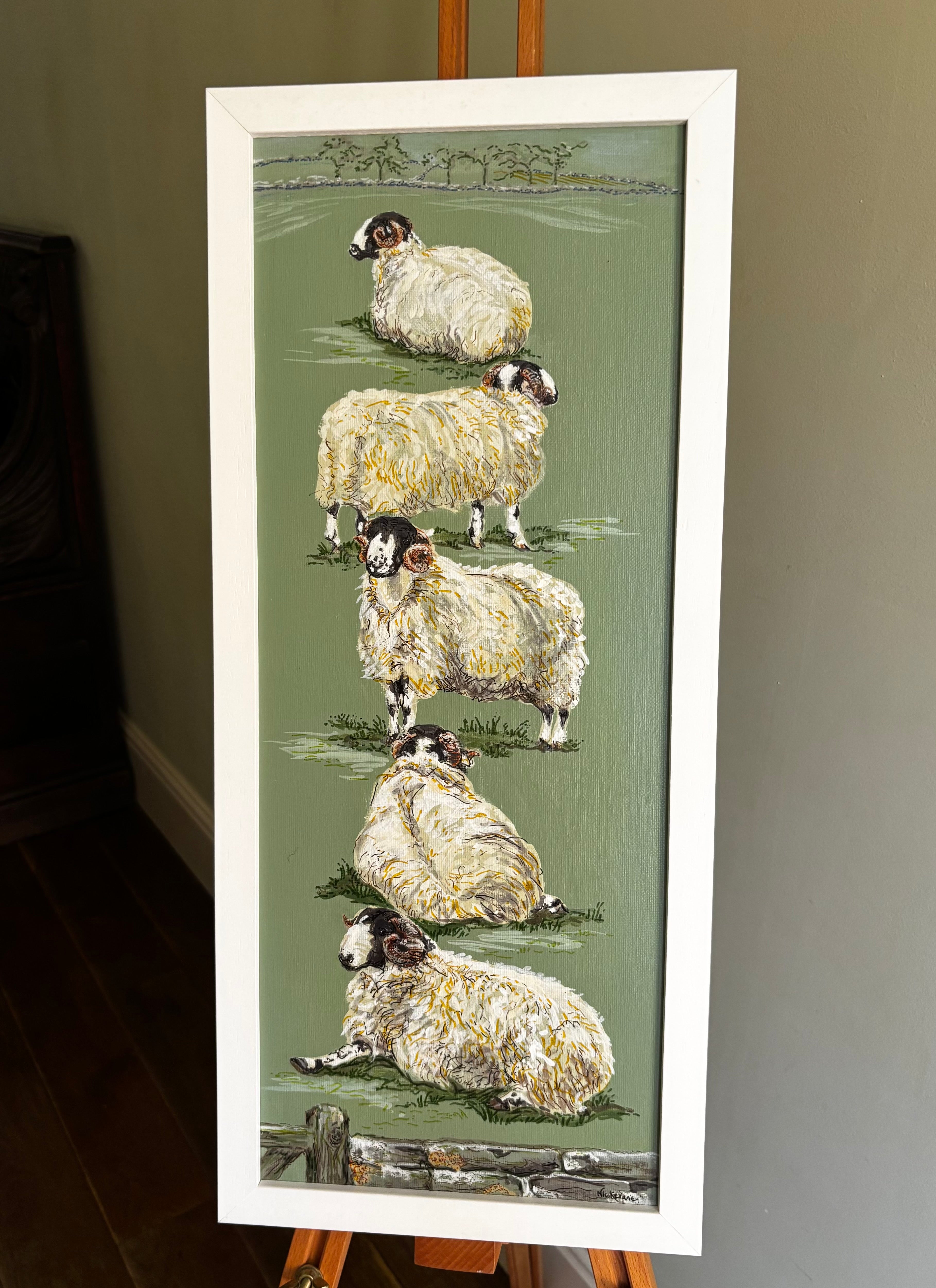 Rough Fell Sheep