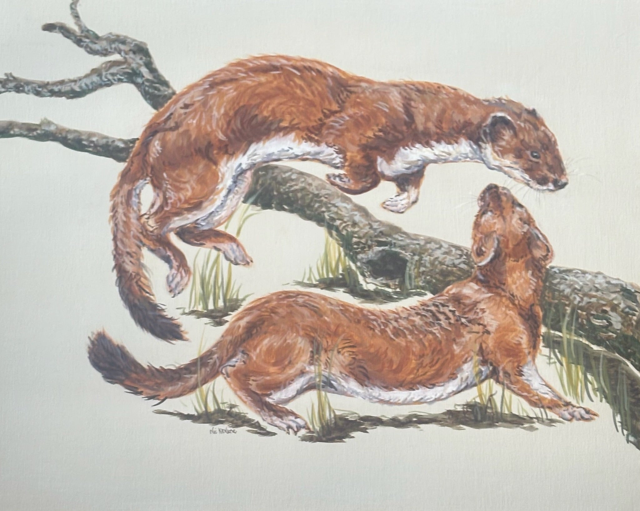Rough and tumble
