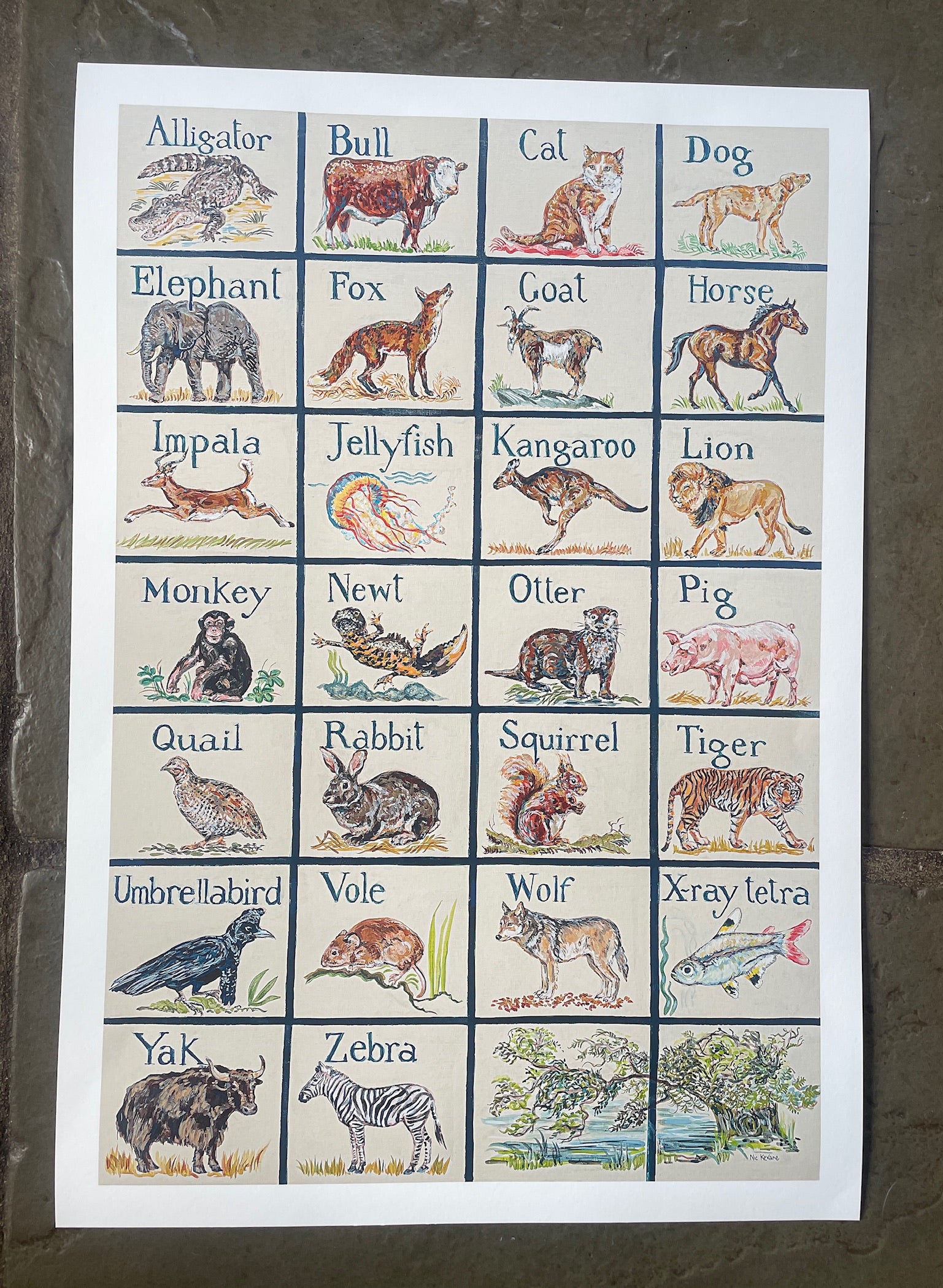 Animal ABC. This print is created from a painting of an animal ABC. I was inspired by the style of Thomas Bewick, a renowned wood engraver and natural history author.