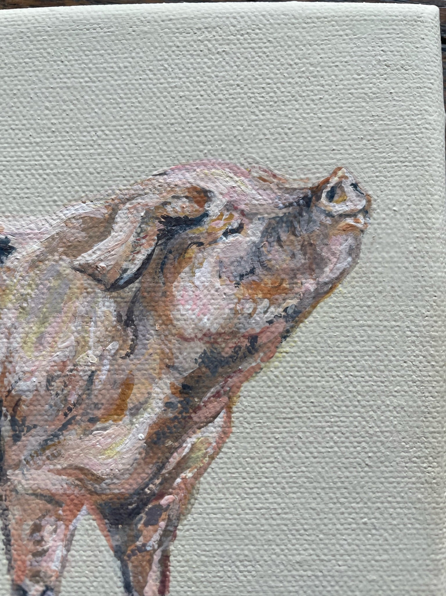 Gloucester Old Spot Pig - My mini paintings depict various countryside subjects painted on soft off-white backgrounds.