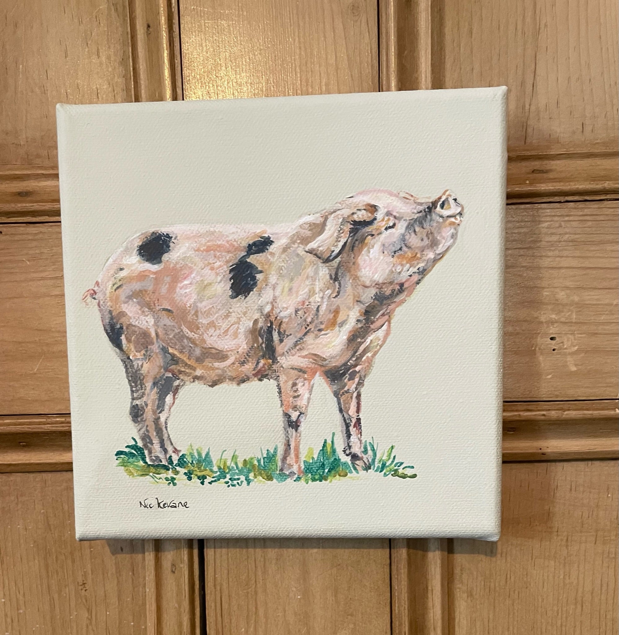 Gloucester Old Spot Pig - My mini paintings depict various countryside subjects painted on soft off-white backgrounds.