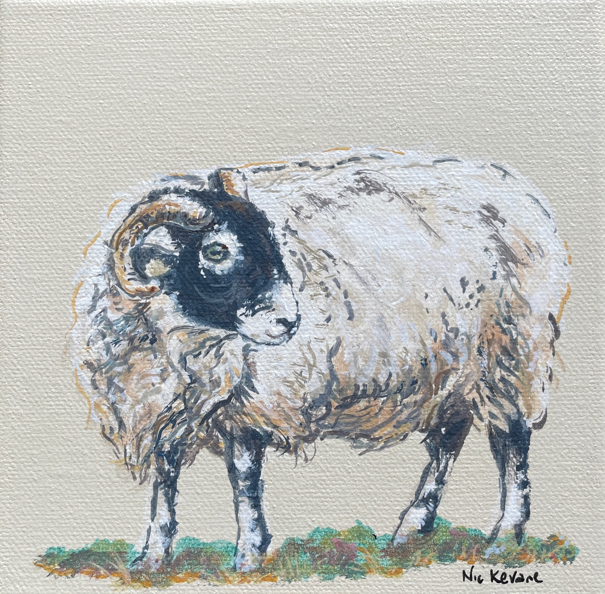 Swaledale Sheep - My mini paintings depict various countryside subjects painted on soft off-white backgrounds.