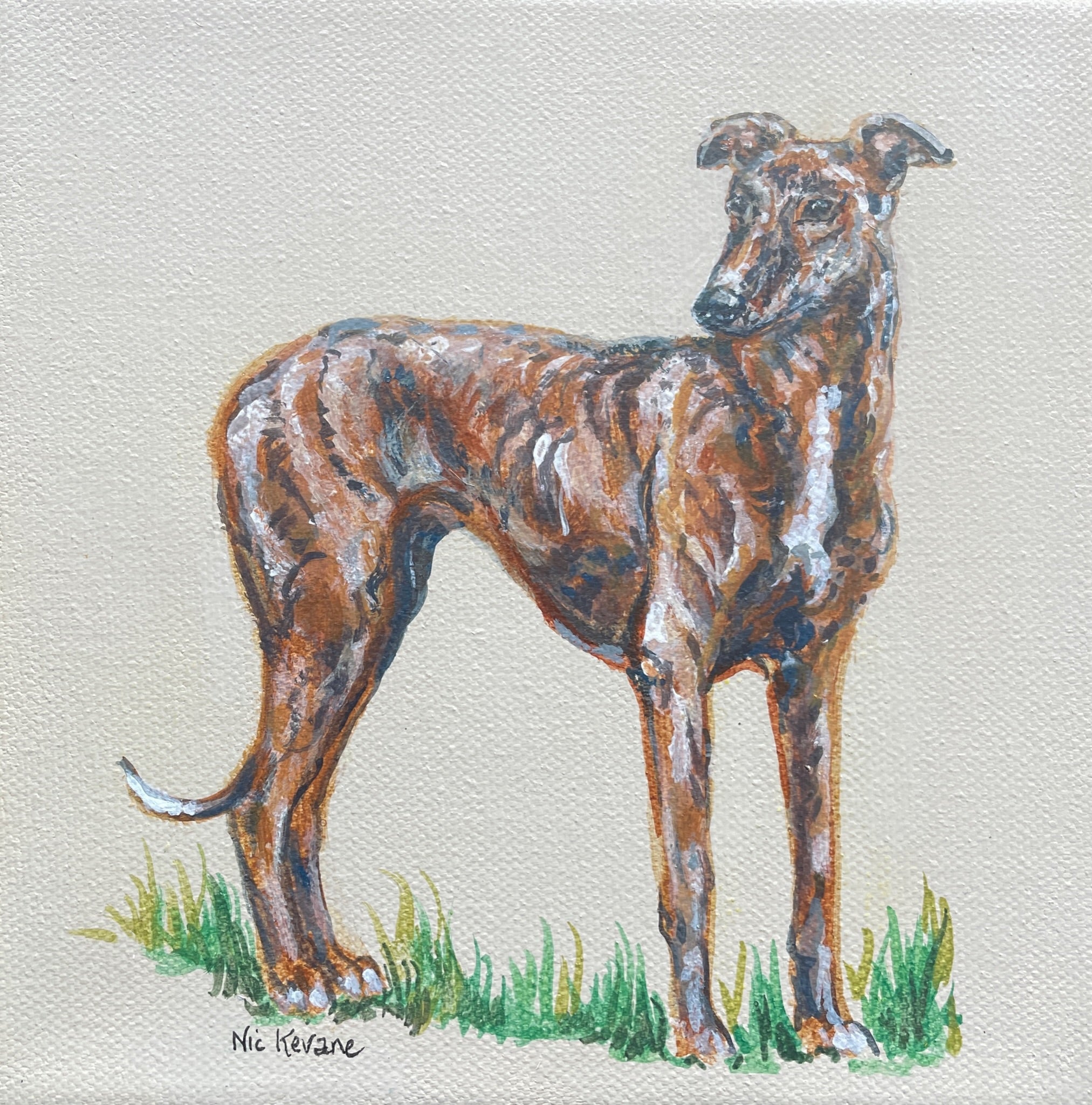 Brindle Greyhound - 15cm x 15cm mini paintings depicting various countryside subjects.