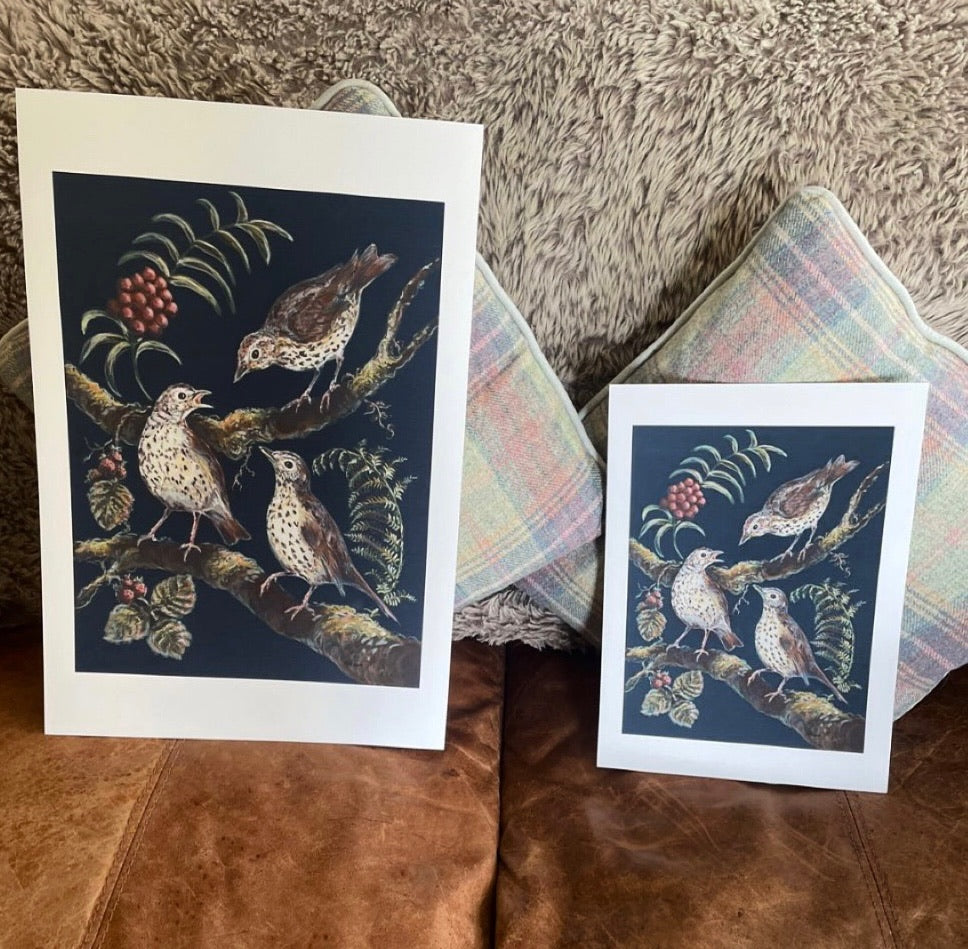 This fine art giclee print shows three song thrushes in a native hedgerow. The background colour is a very pleasant dark midnight blue.