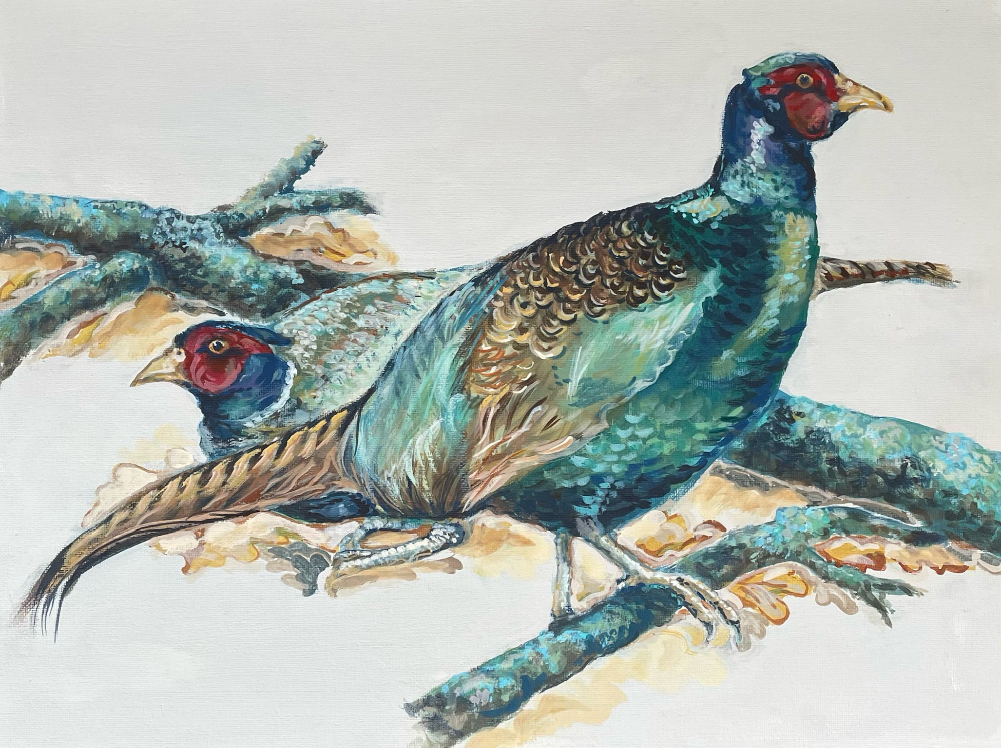 A Brace of Blue Pheasants  This painting celebrates the iridescent colours of these beautiful birds. They have such glorious colours in their shimmering plumage.
