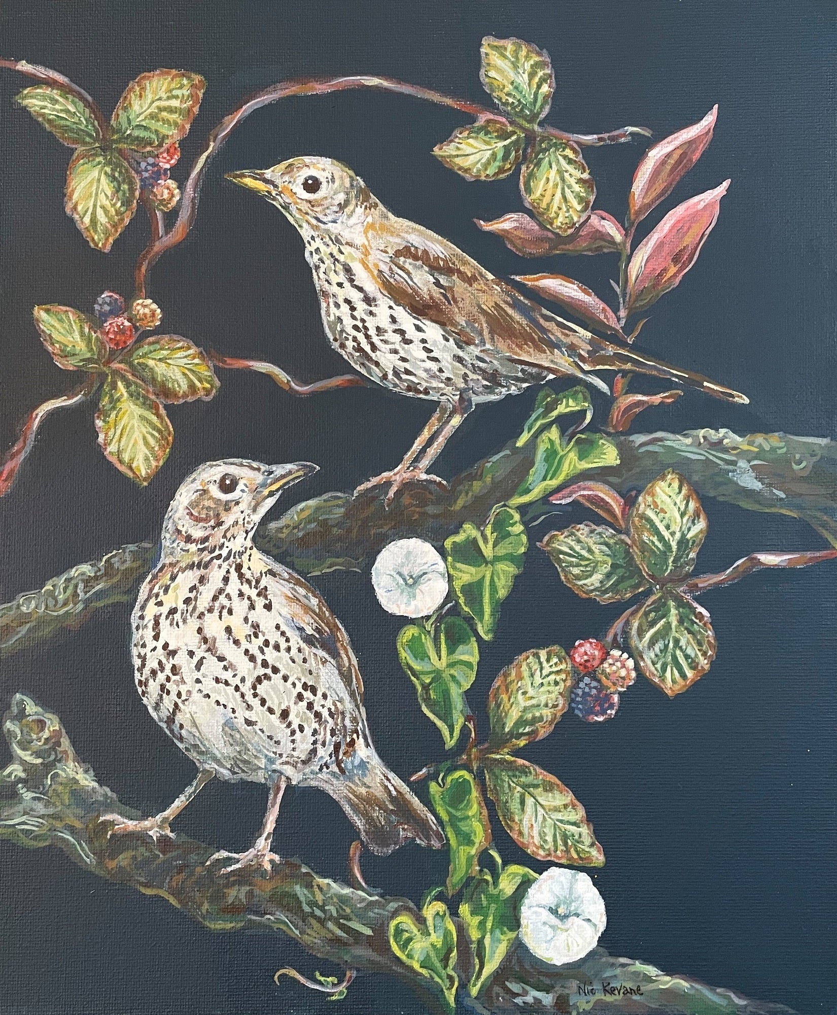 This painting of songthrushes was inspired by the vintage hand painted wallpaper in country houses depicting exotic birds and foliage.