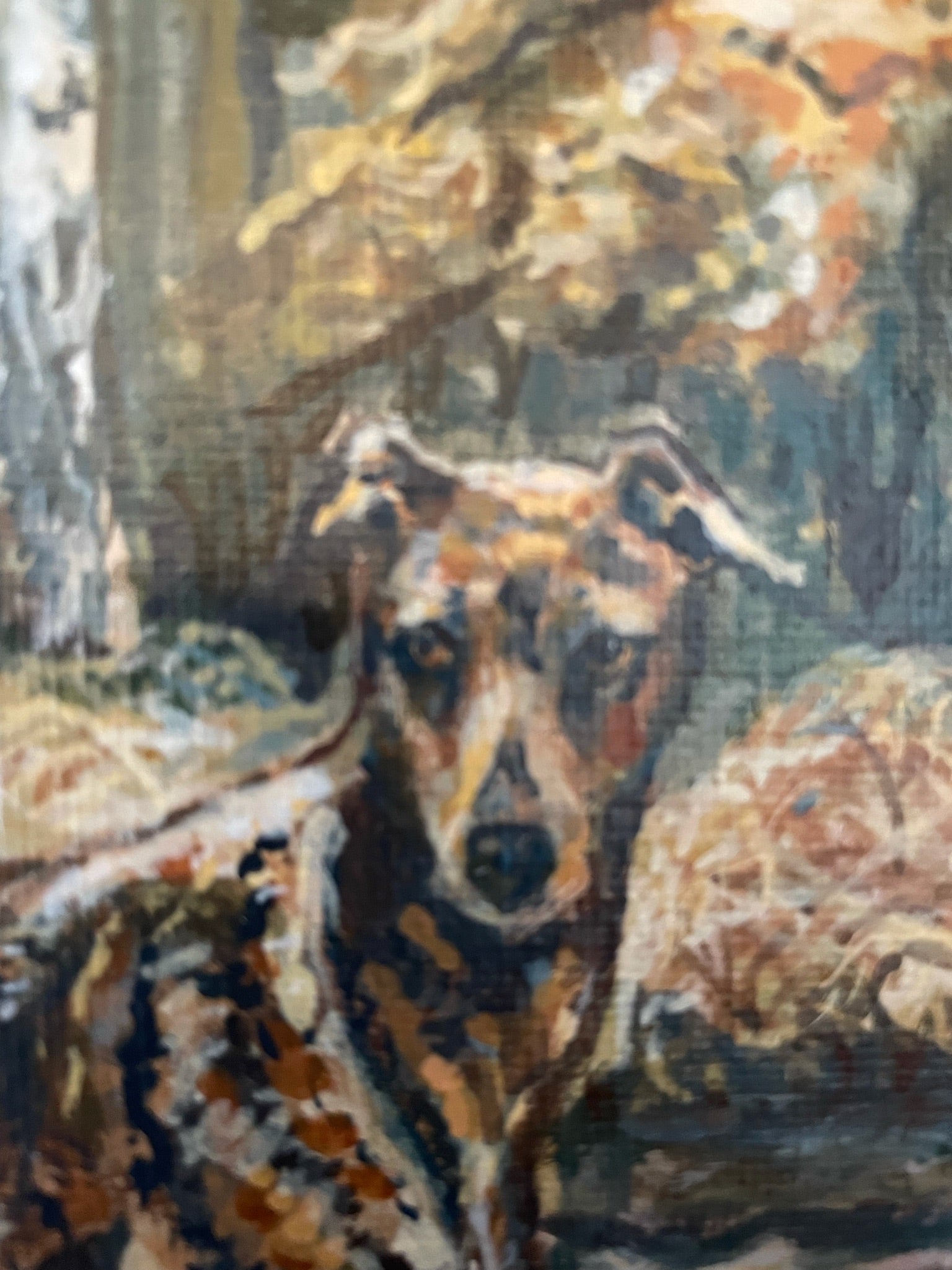 Autumn Greyhound