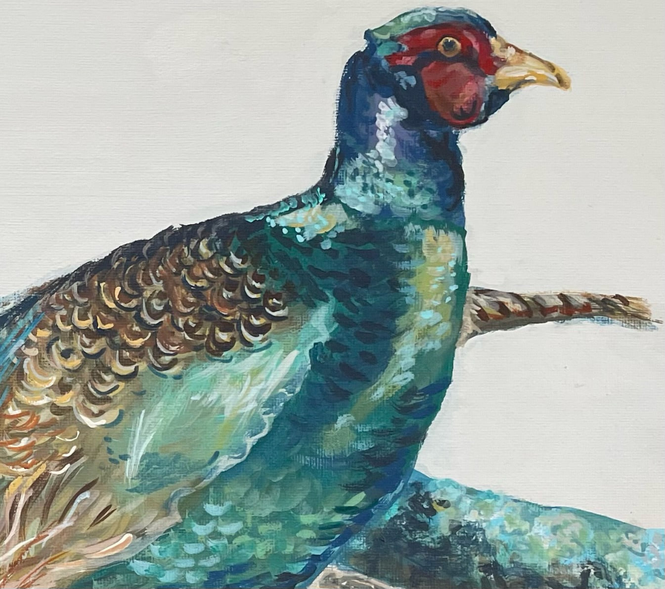 A Brace of Blue Pheasants  This painting celebrates the iridescent colours of these beautiful birds. They have such glorious colours in their shimmering plumage.