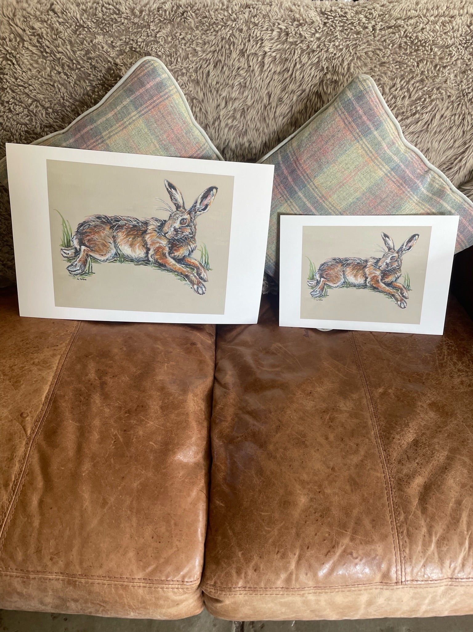 This fine art giclee print shows a hare relaxing in the warmth of the sun. Inspired by two hares lying in a field of winter wheat in springtime.