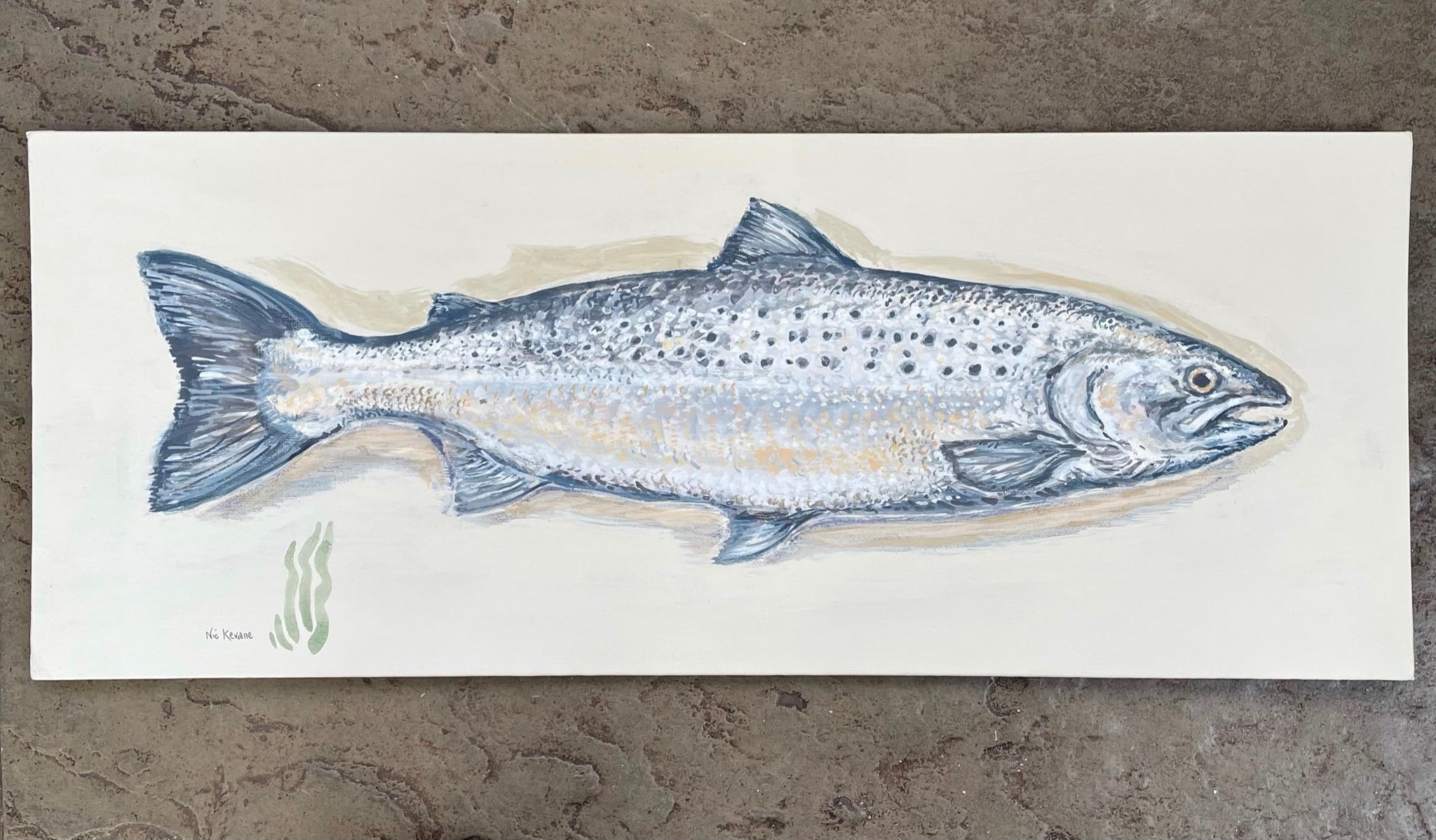 Salmon. This painting is reminiscent of the traditional taxidermy fish displayed in a glass fronted case, often seen in country houses and fieldsports lodges.