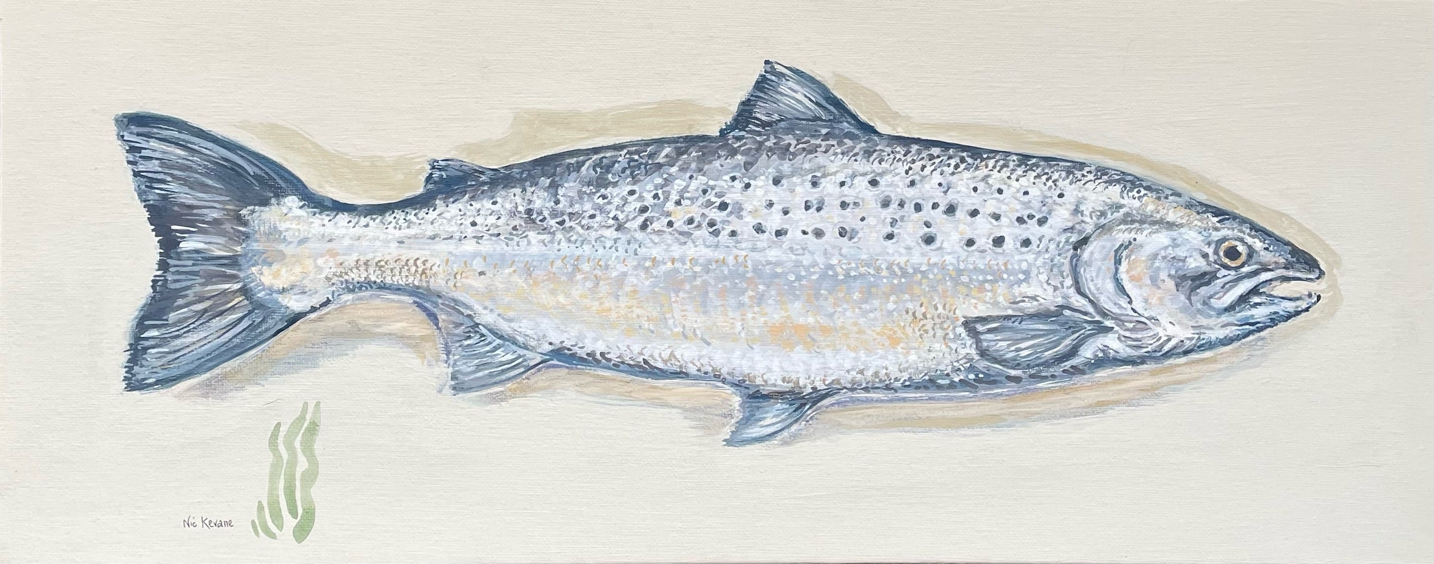 Salmon. This painting is reminiscent of the traditional taxidermy fish displayed in a glass fronted case, often seen in country houses and fieldsports lodges.
