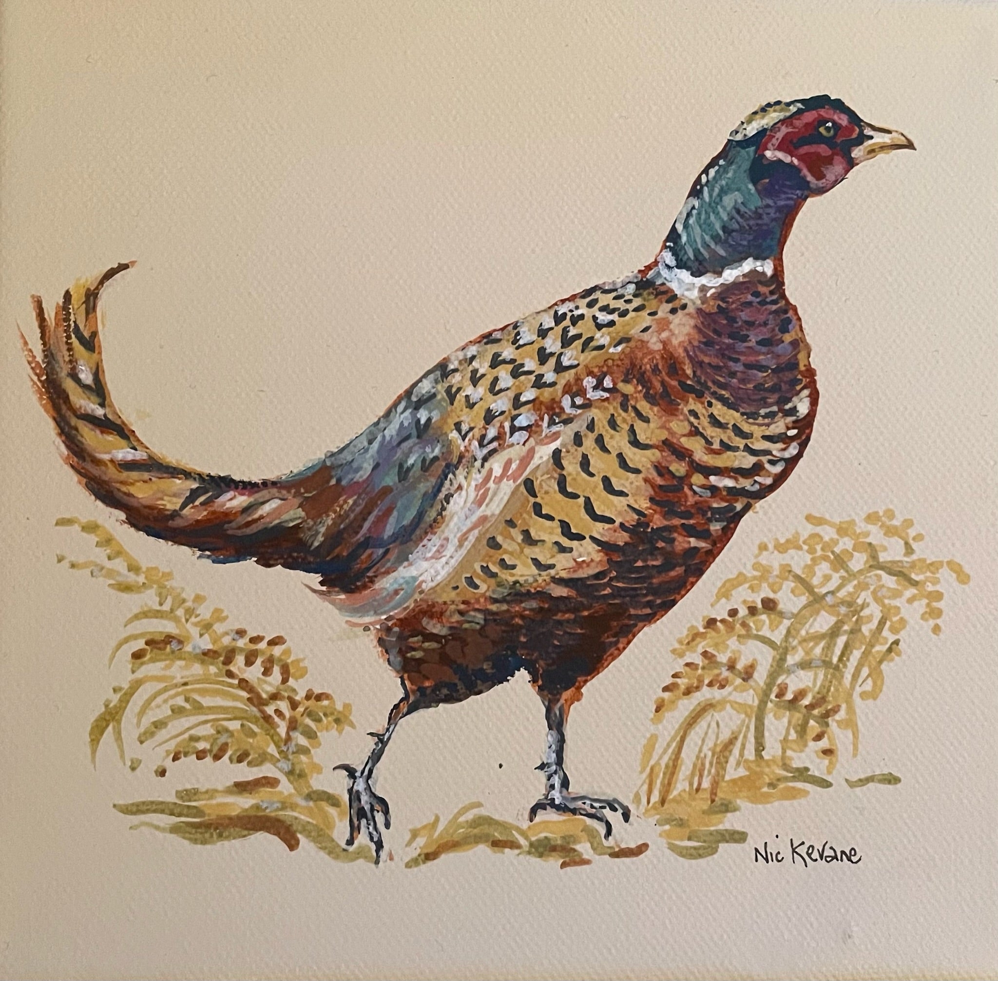 Pheasant II - 15cm x 15cm mini paintings depicting various countryside subjects.