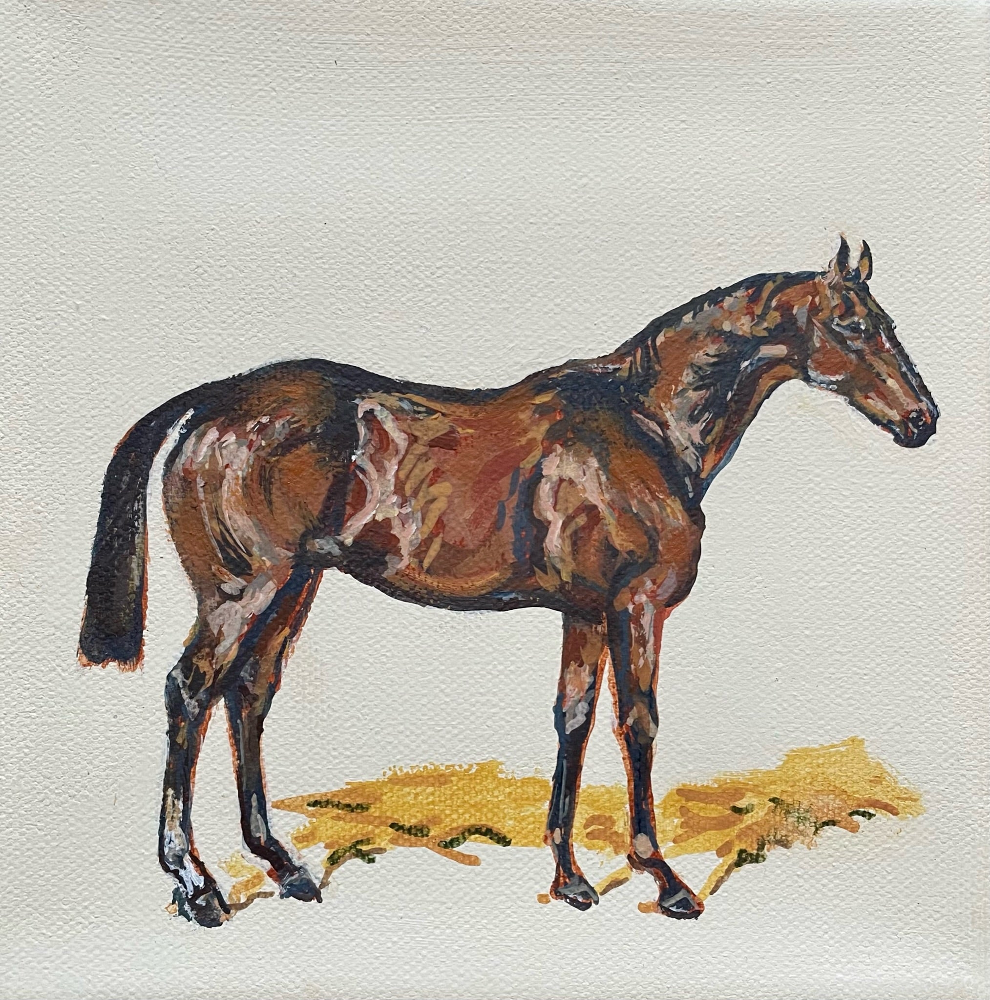Bay Horse - 15cm x 15cm mini paintings depicting various countryside subjects.