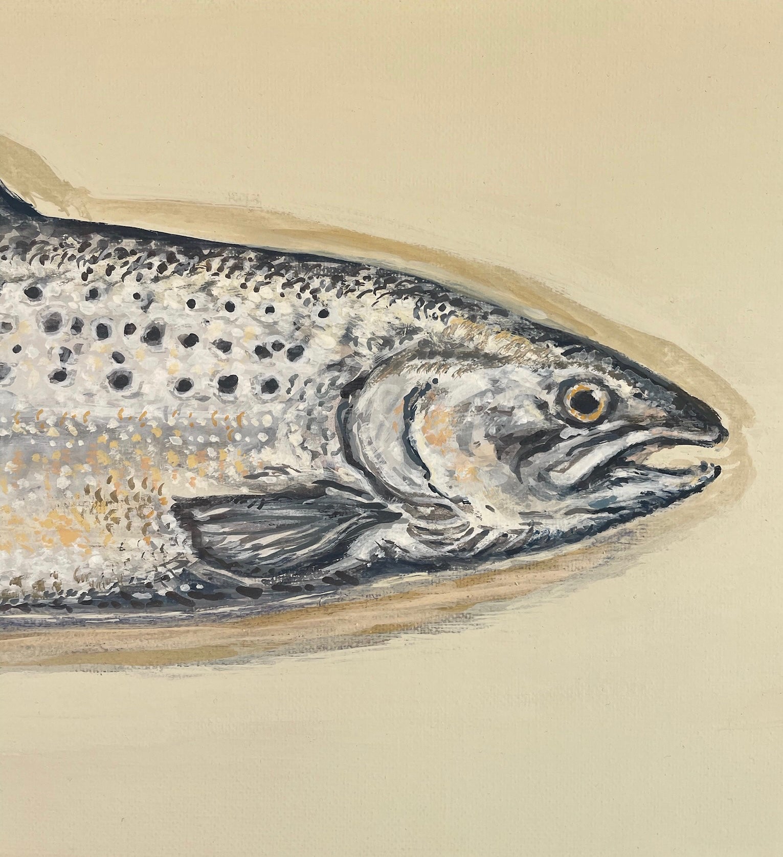 Salmon. This painting is reminiscent of the traditional taxidermy fish displayed in a glass fronted case, often seen in country houses and fieldsports lodges.