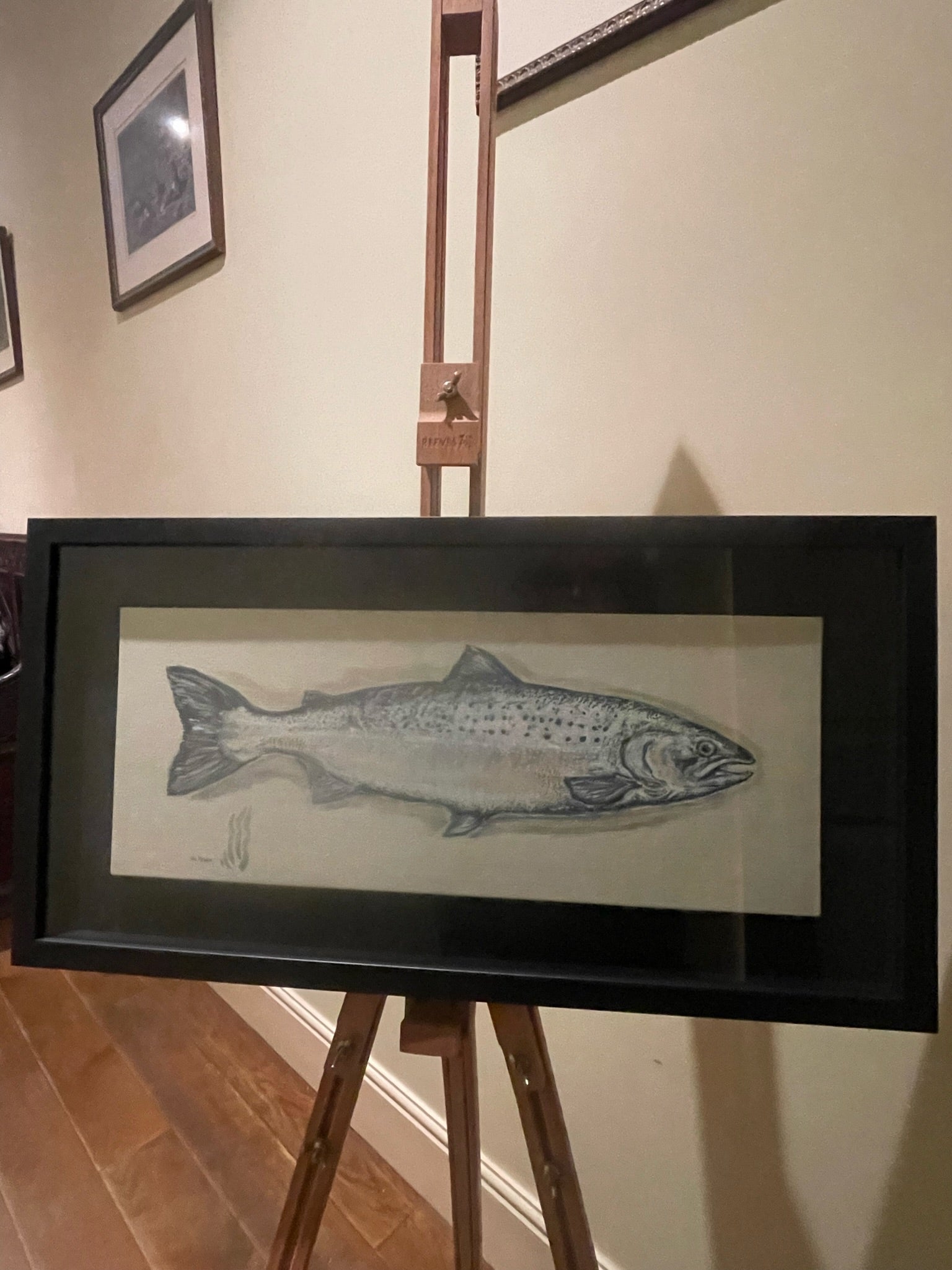Salmon. This painting is reminiscent of the traditional taxidermy fish displayed in a glass fronted case, often seen in country houses and fieldsports lodges.