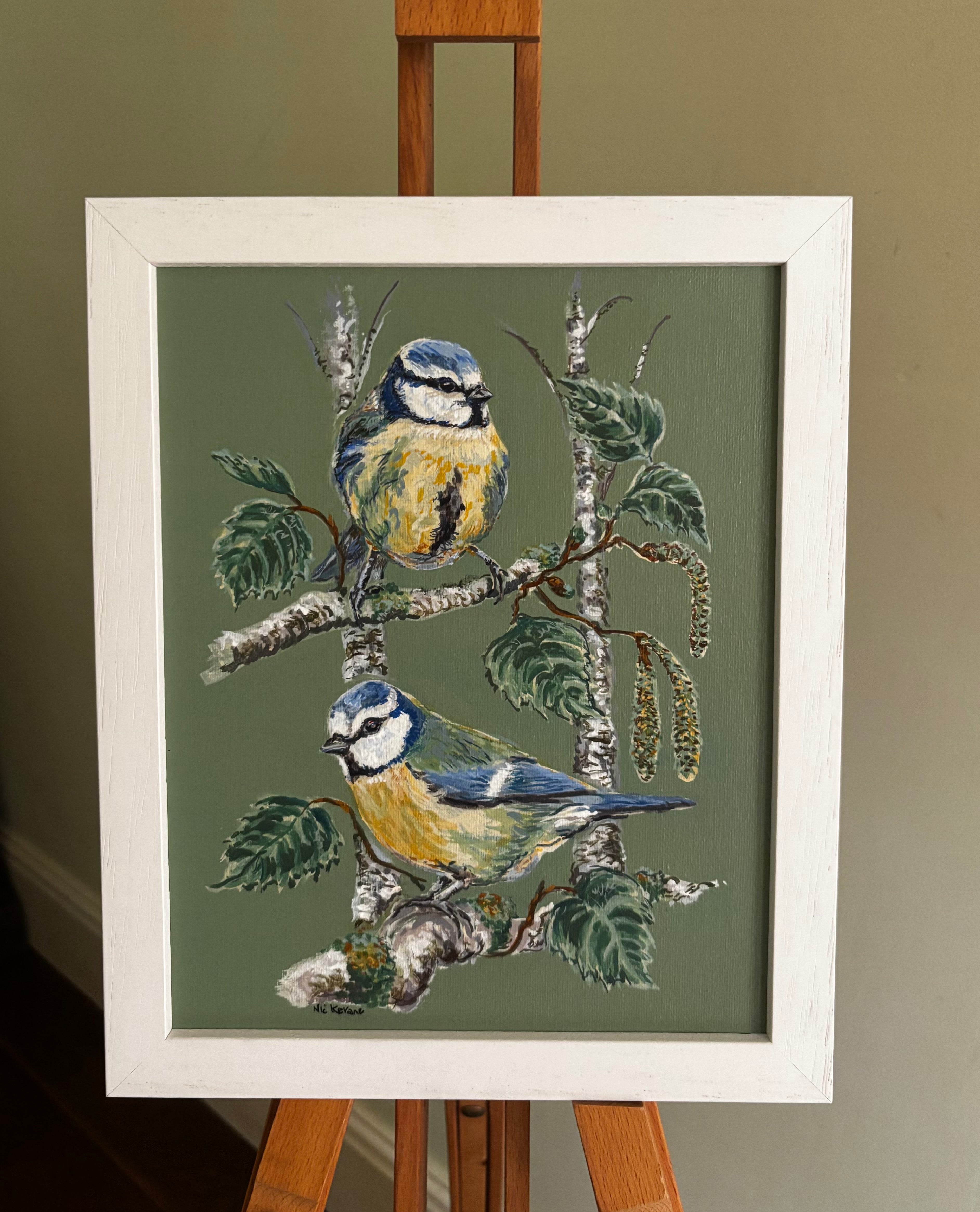 Blue Tits in the silver birch