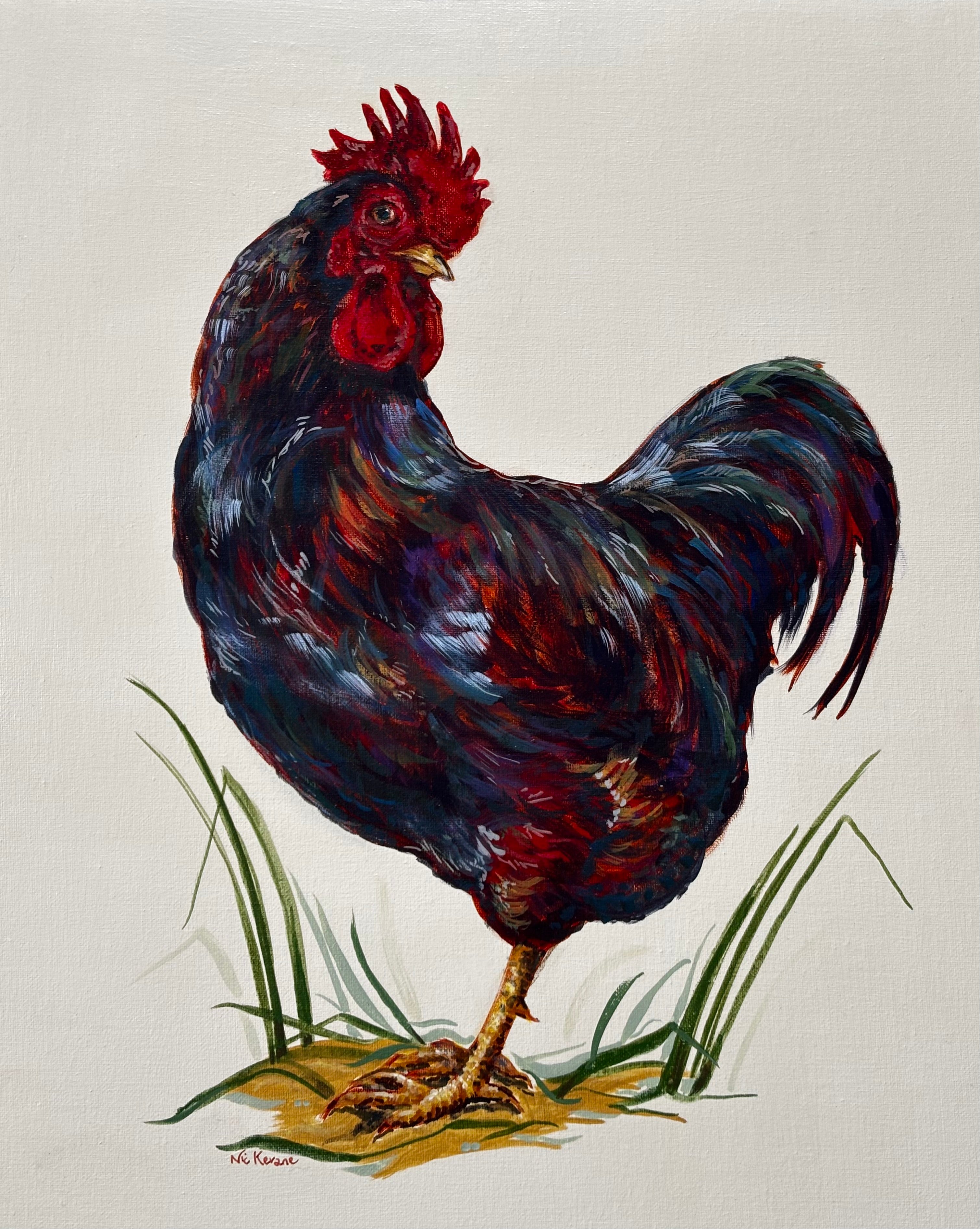 Cockerel of many colours