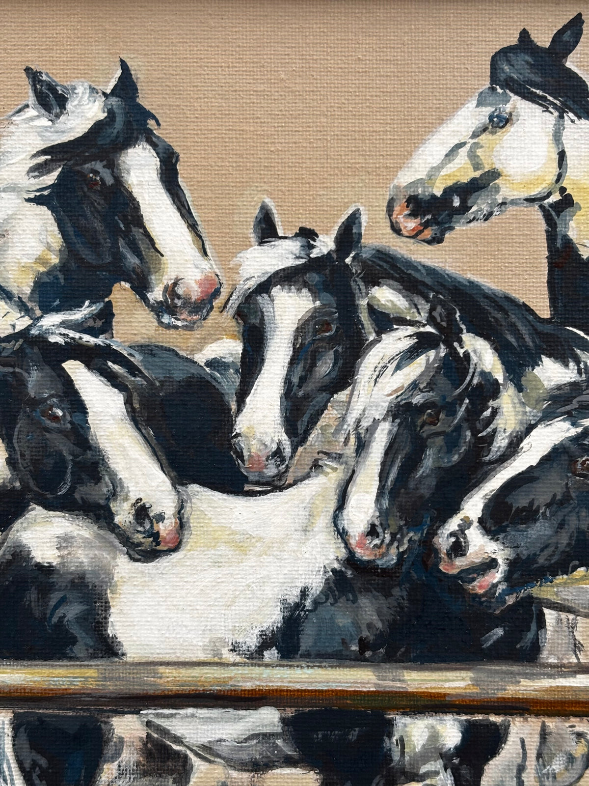 Piebald Ponies