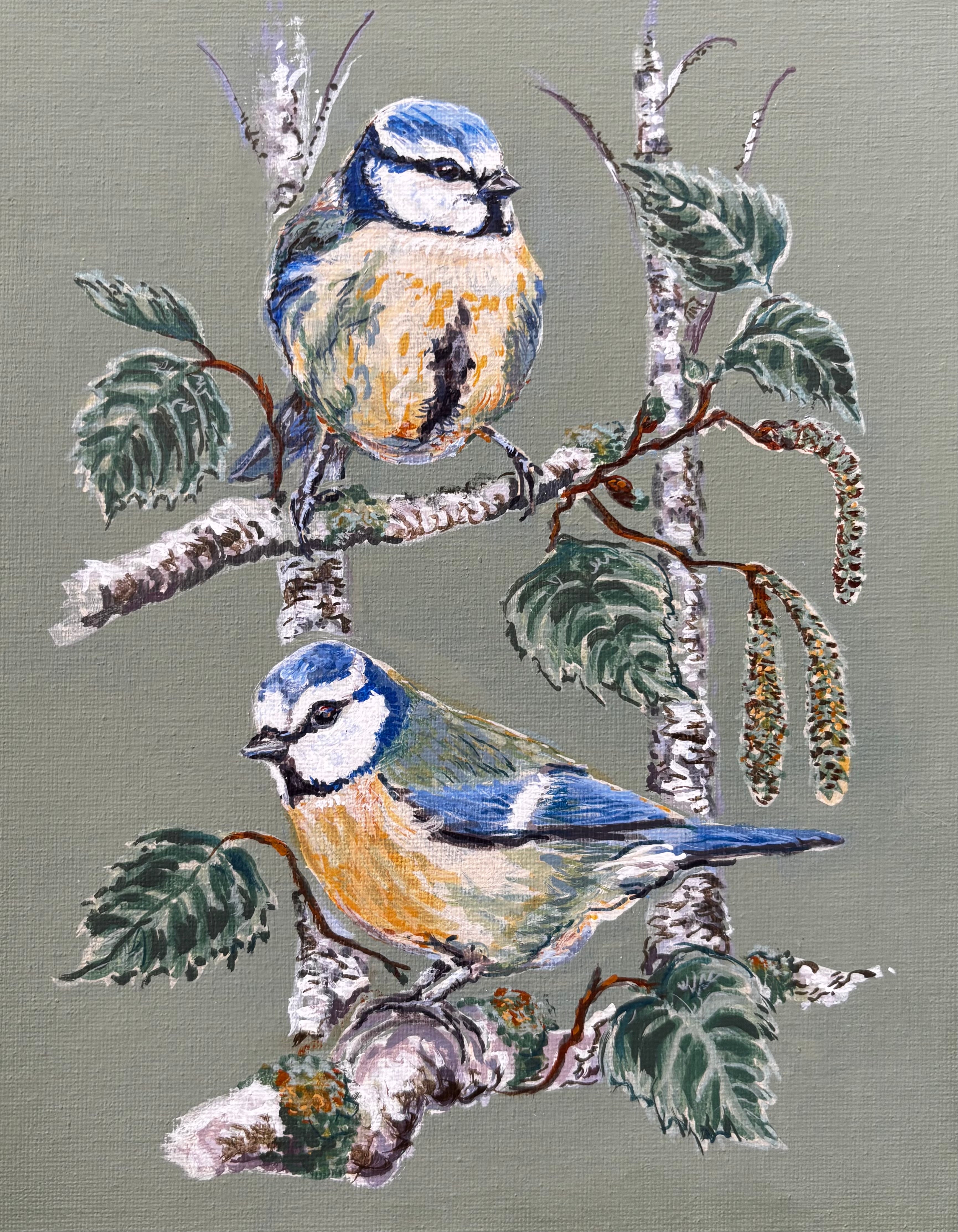 Blue Tits in the silver birch