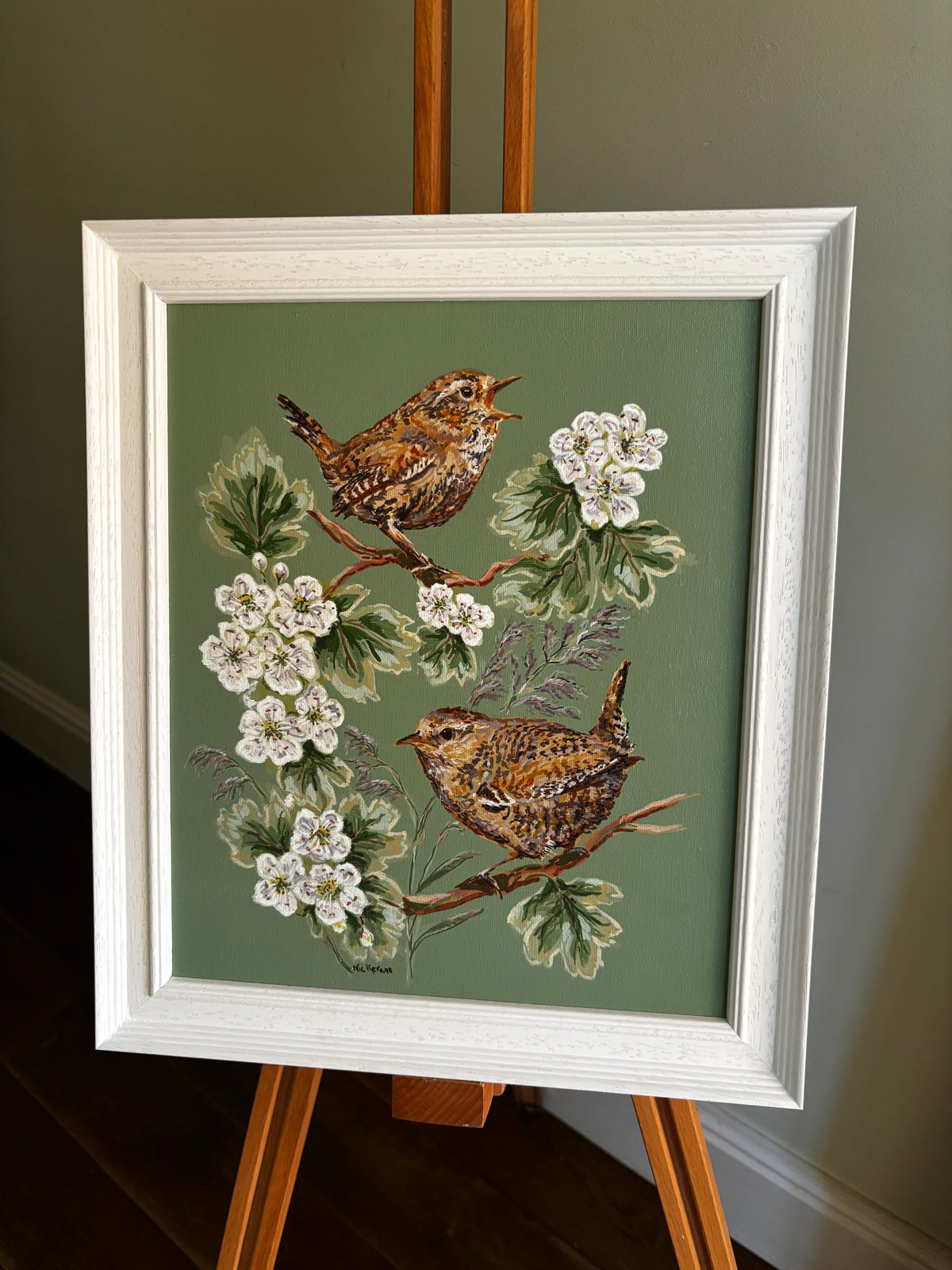 Wrens in the hawthorn hedge