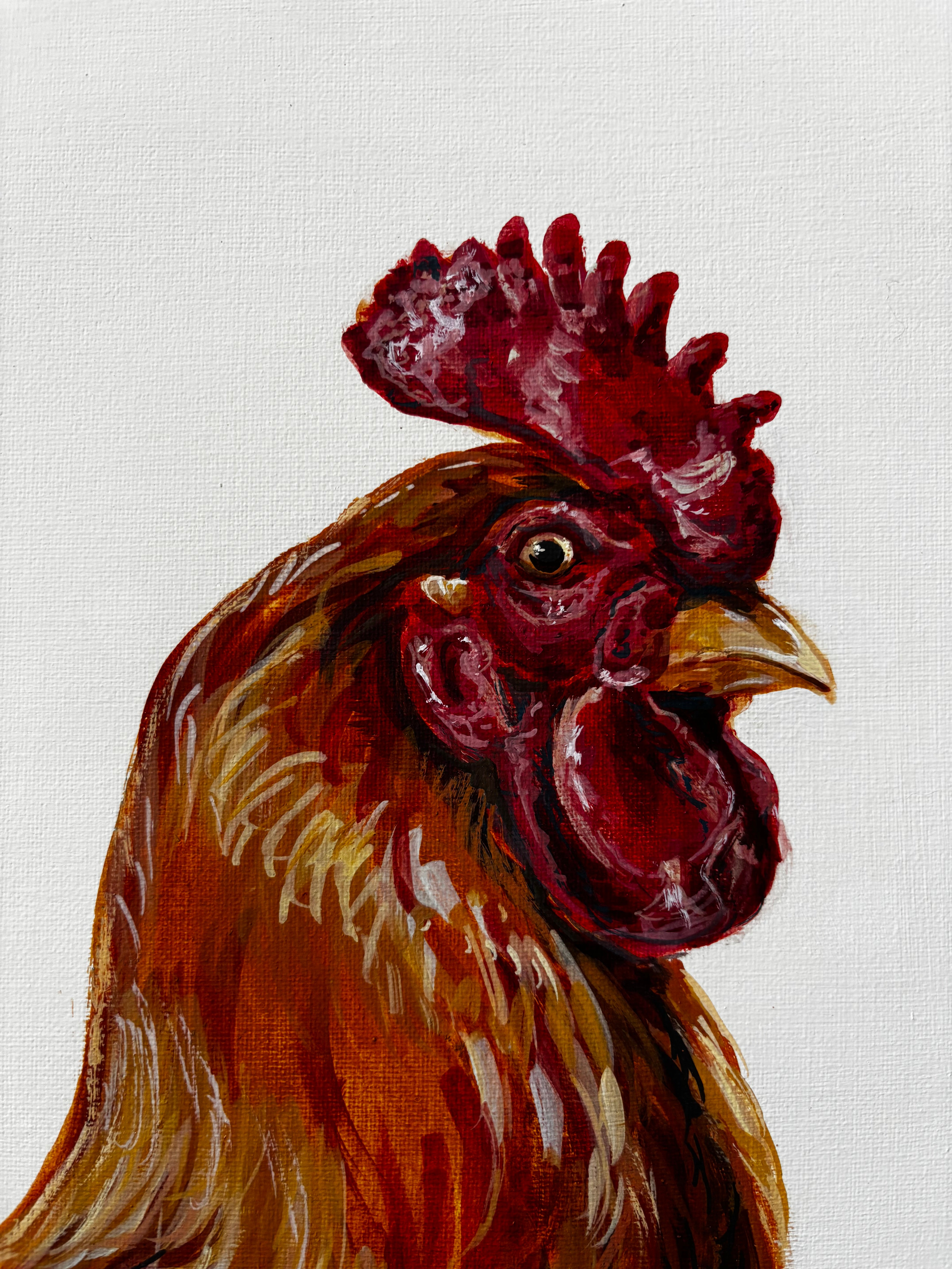 King of the farmyard