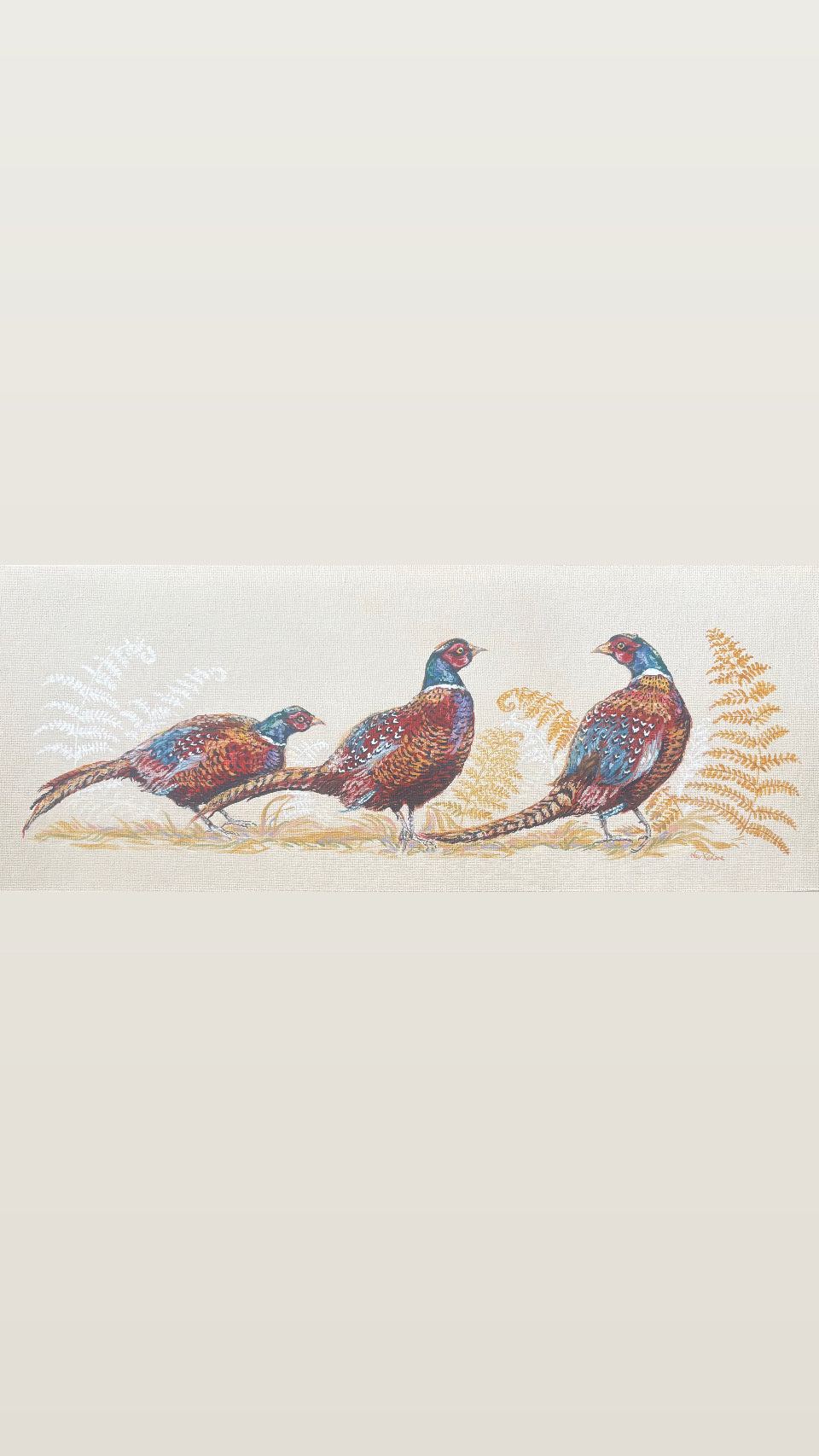 Under Covert Pheasants