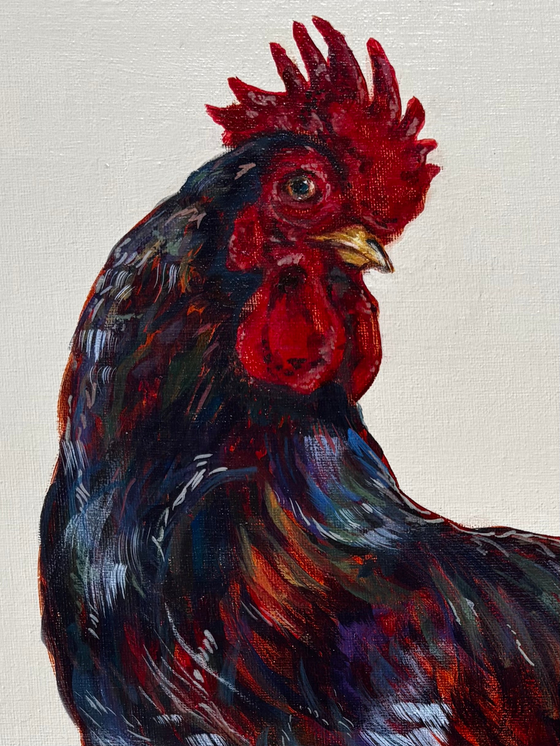 Cockerel of many colours