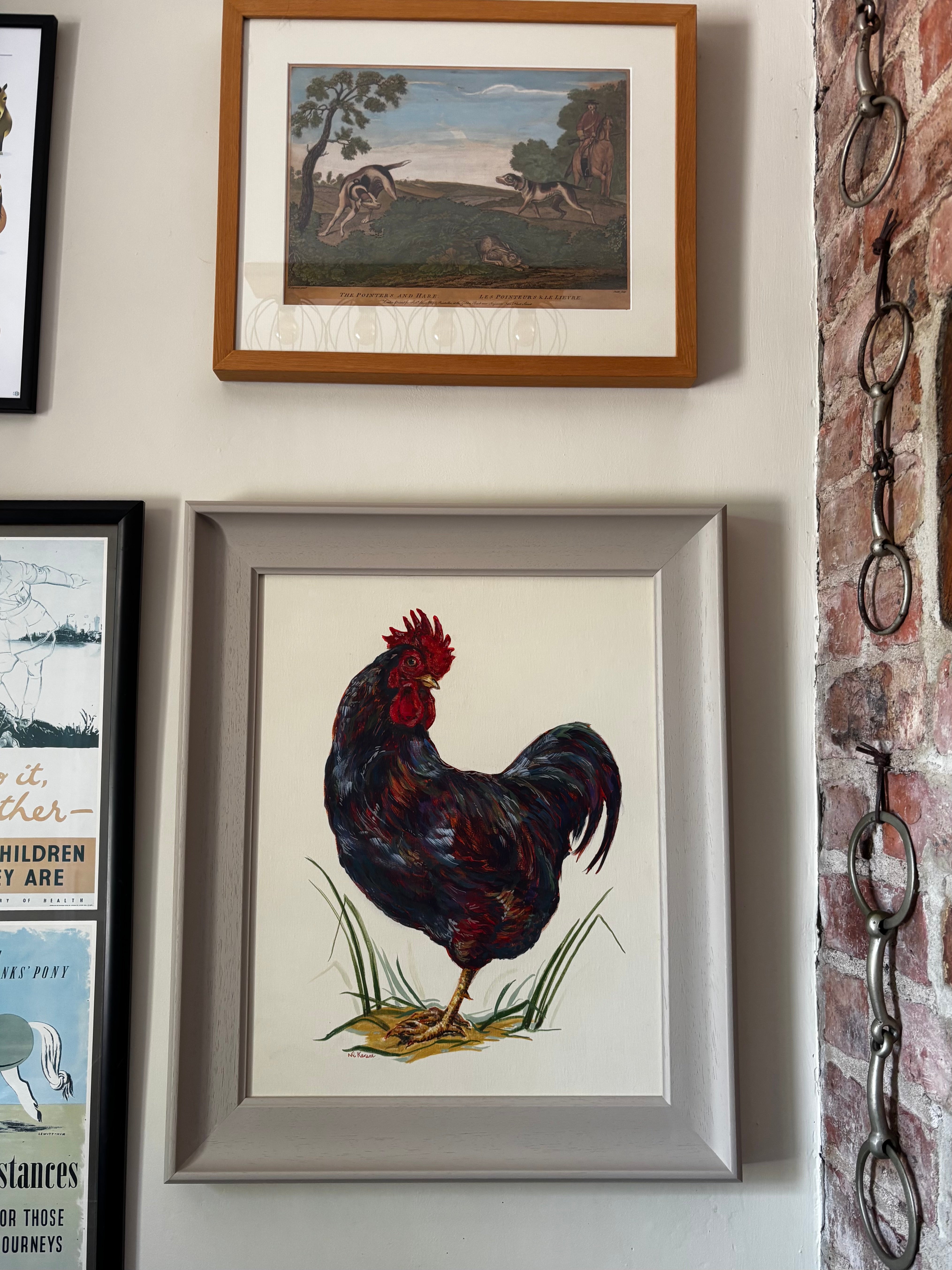 Cockerel of many colours