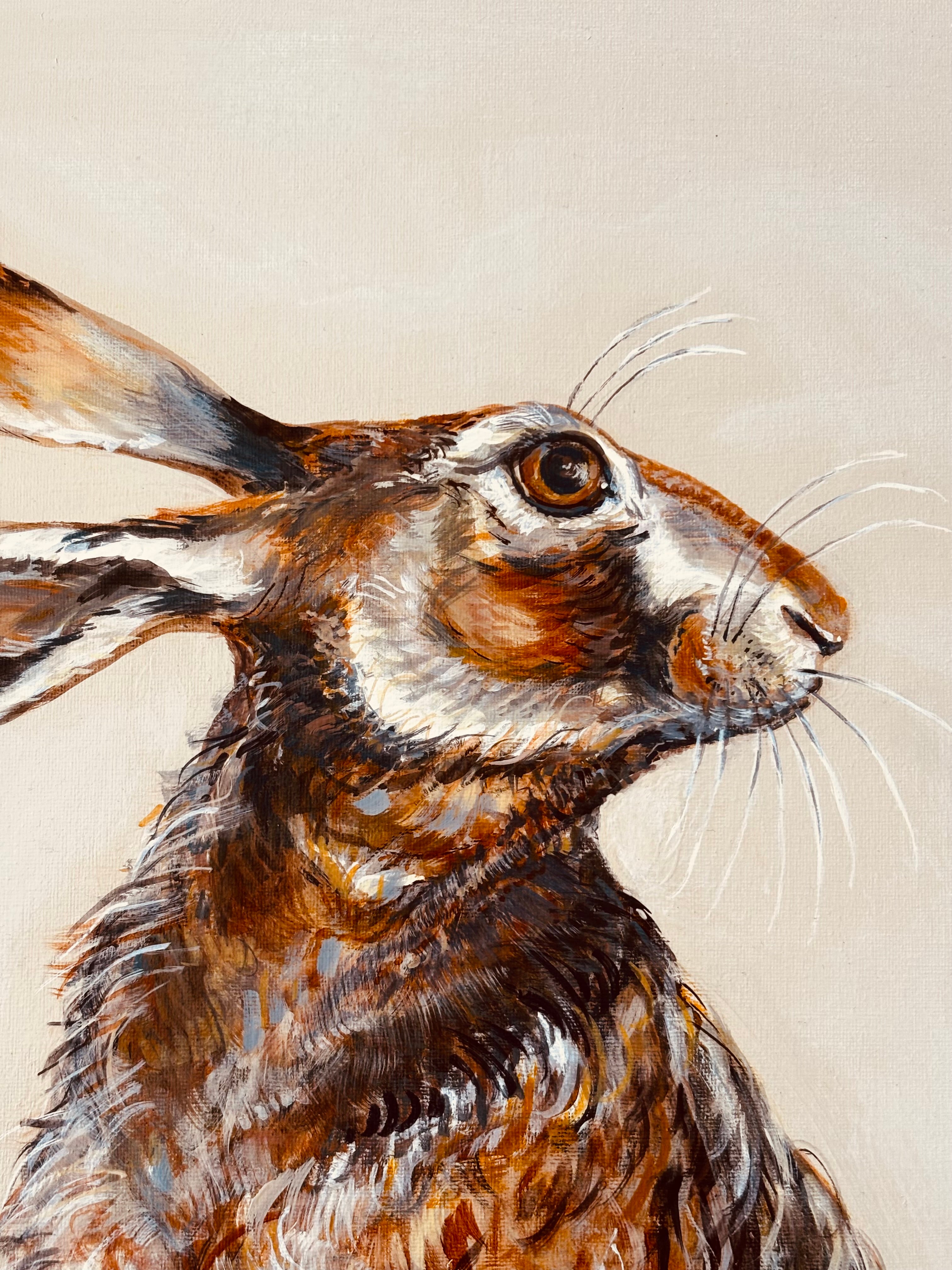 Wistful Hare
