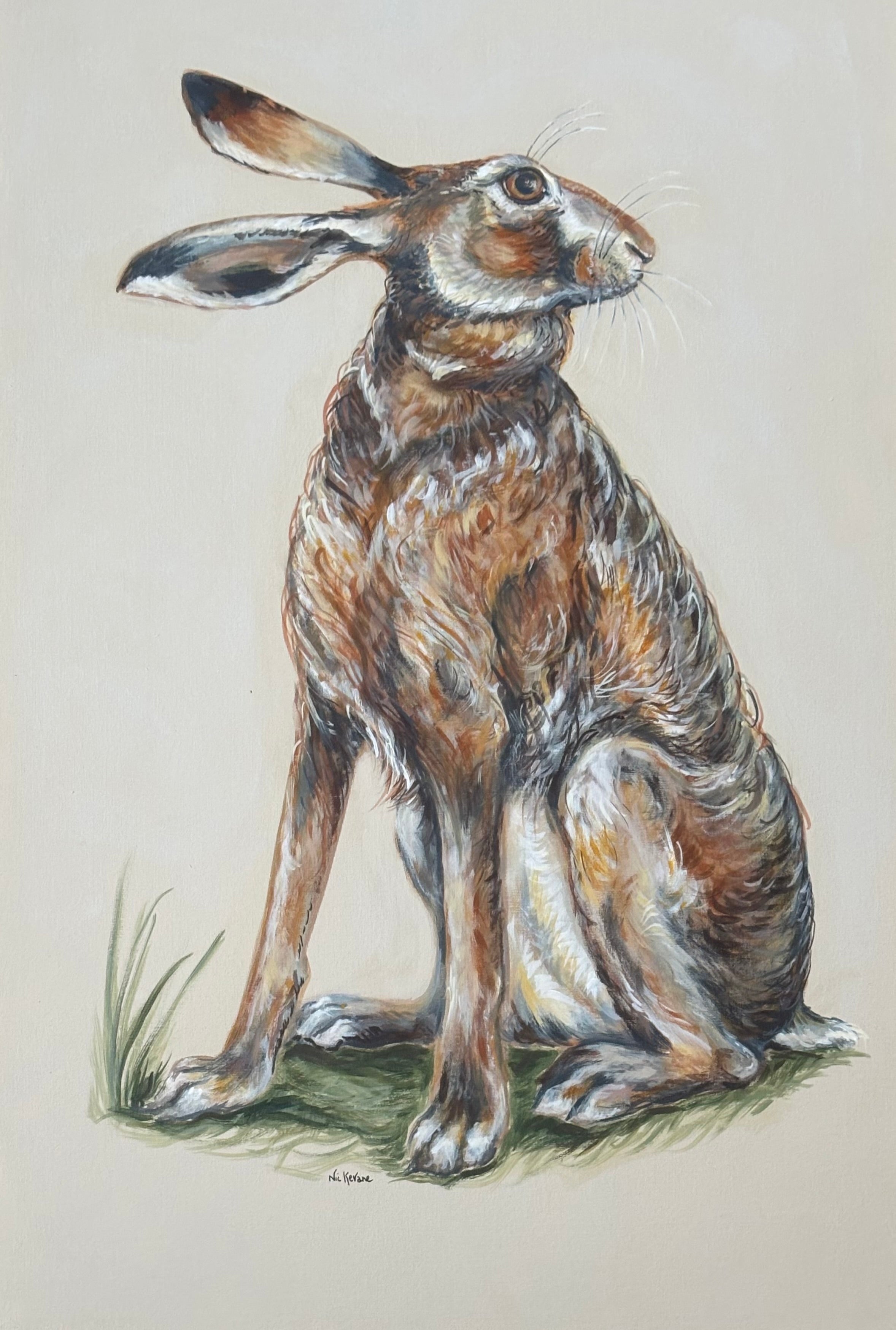 Wistful Hare