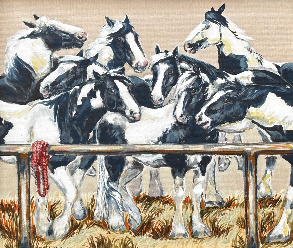 Piebald Ponies
