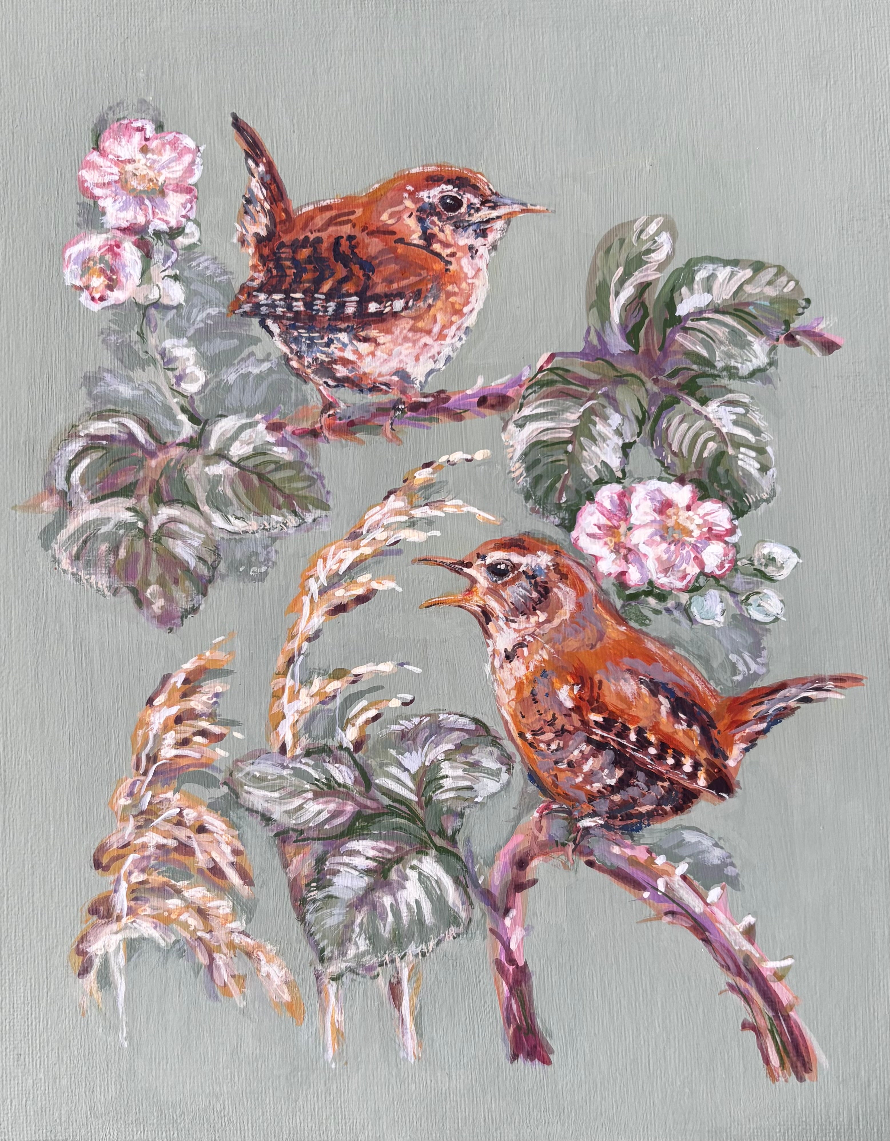 Little wrens