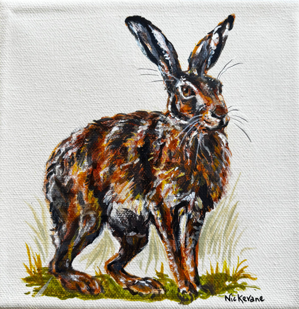 Hare II