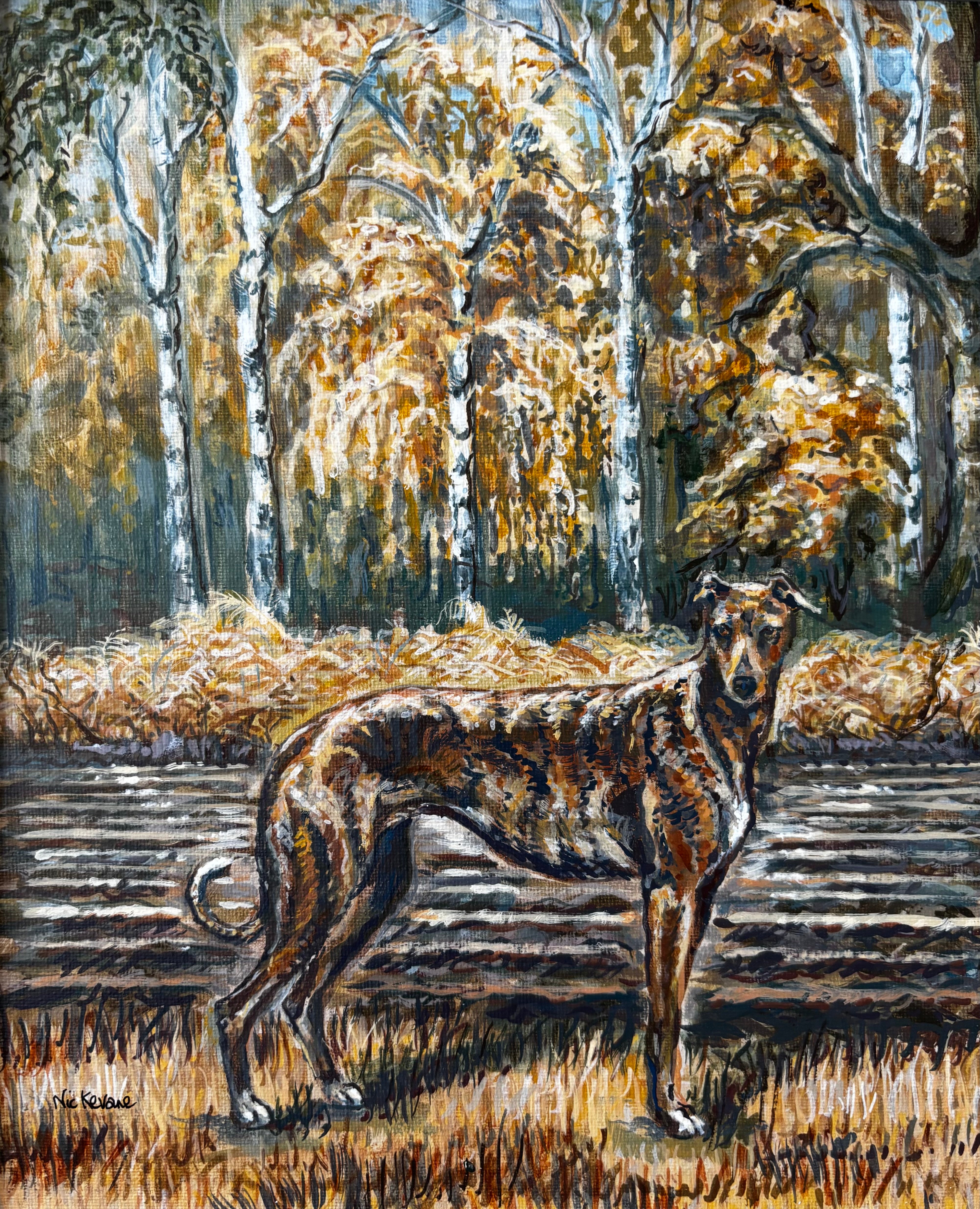 Autumn Greyhound