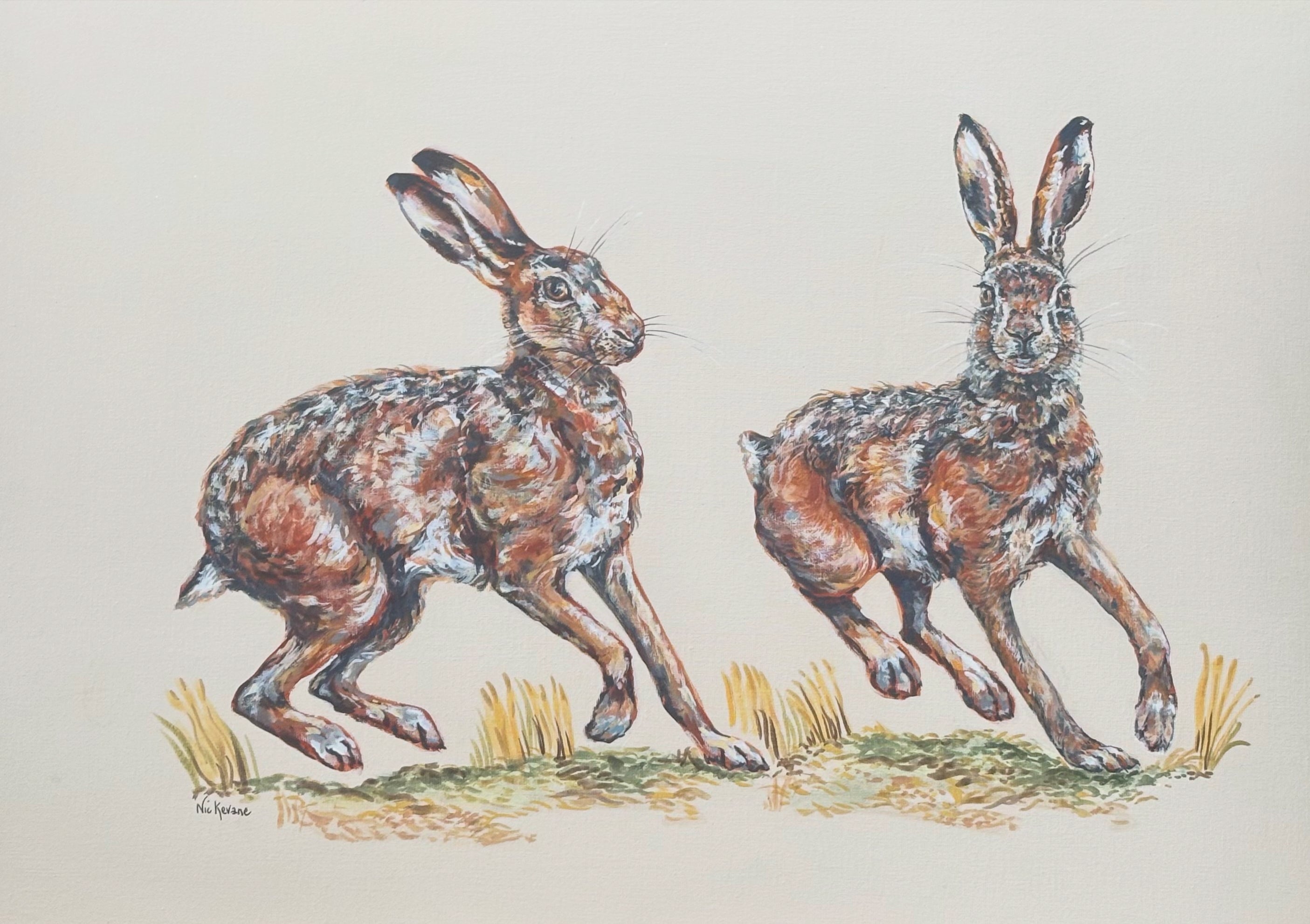 Harvest Hares