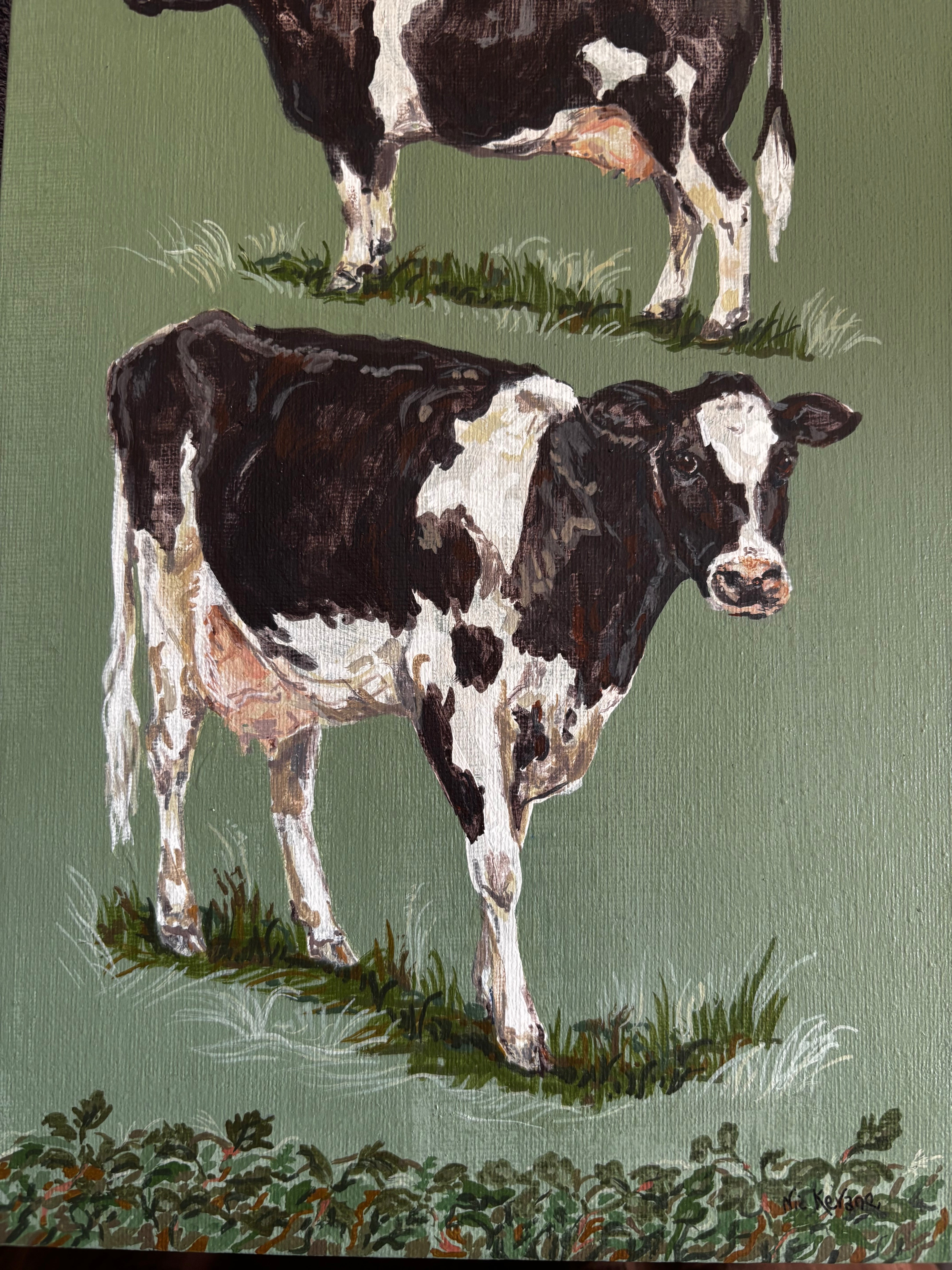 Friesian Cows