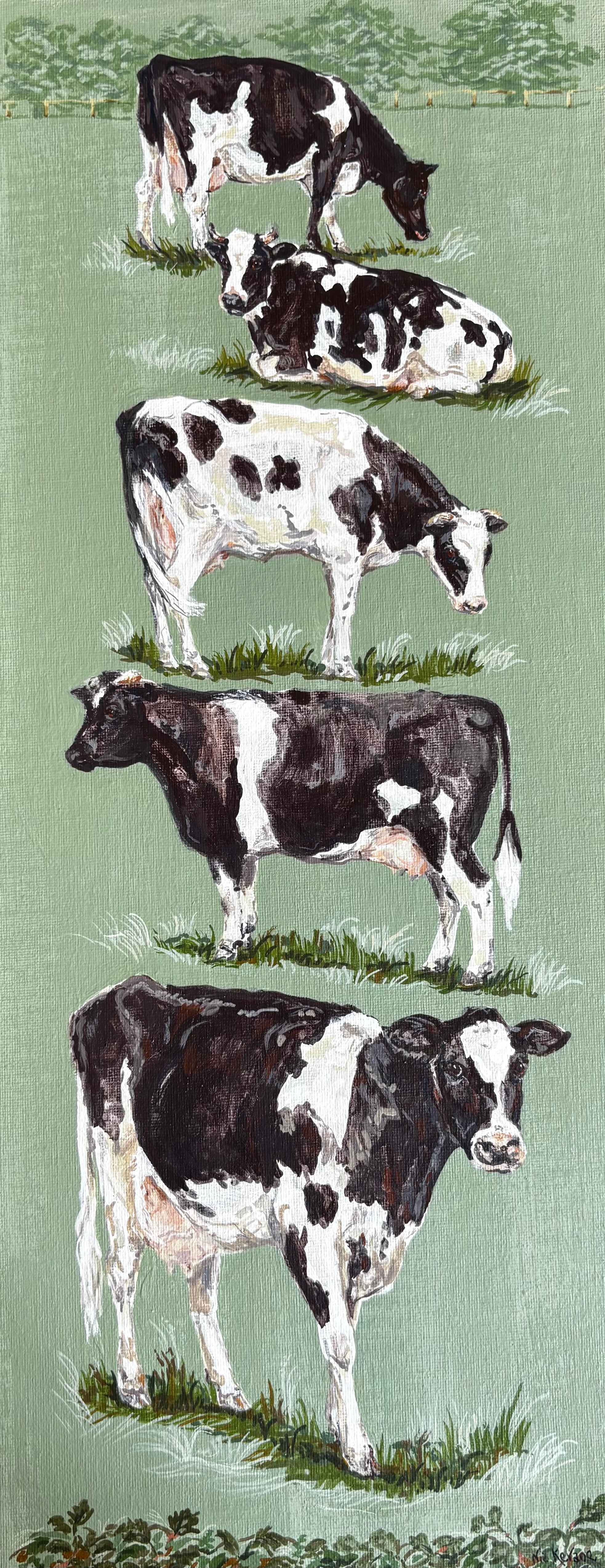 Friesian Cows