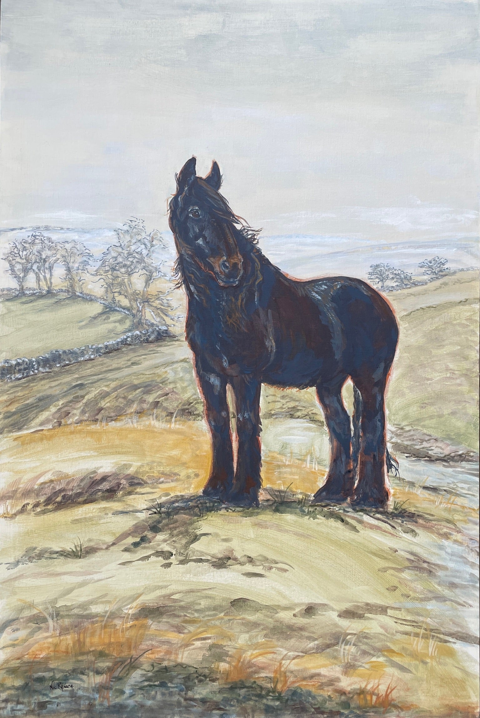 The focus of this painting is a majestic Dales pony in the rugged countryside terrain of the Yorkshire Dales. 