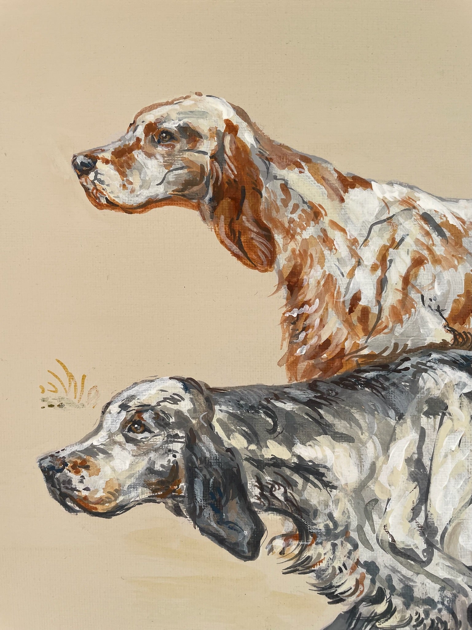 English Setters -  two traditional gundogs hunting.  A painting of a working dog breed inspired by old country sporting prints.