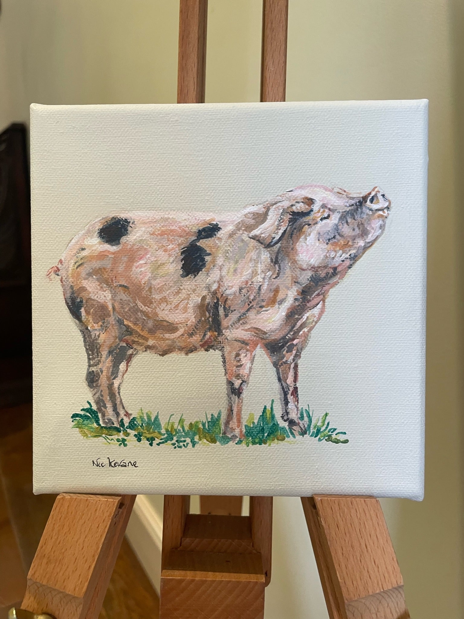 Gloucester Old Spot Pig - My mini paintings depict various countryside subjects painted on soft off-white backgrounds.