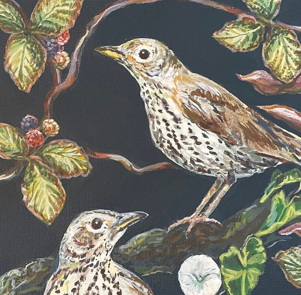 This painting of songthrushes was inspired by the vintage hand painted wallpaper in country houses depicting exotic birds and foliage. 