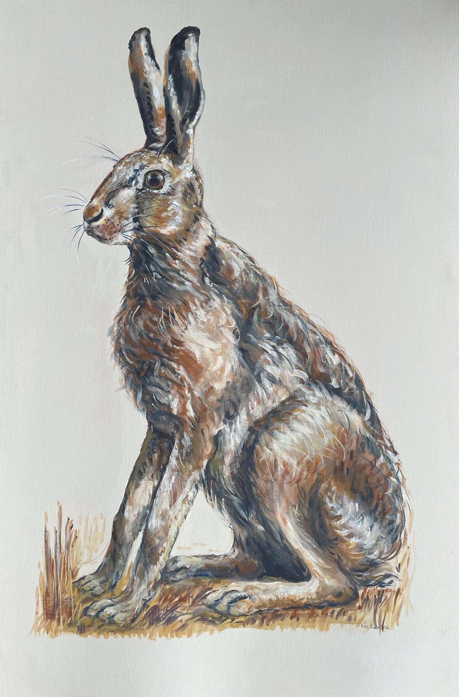 A painting of a hare in a wheat stubble field before he dashes away.  I love to paint the shades of brown and grey found in the hare's fur.
